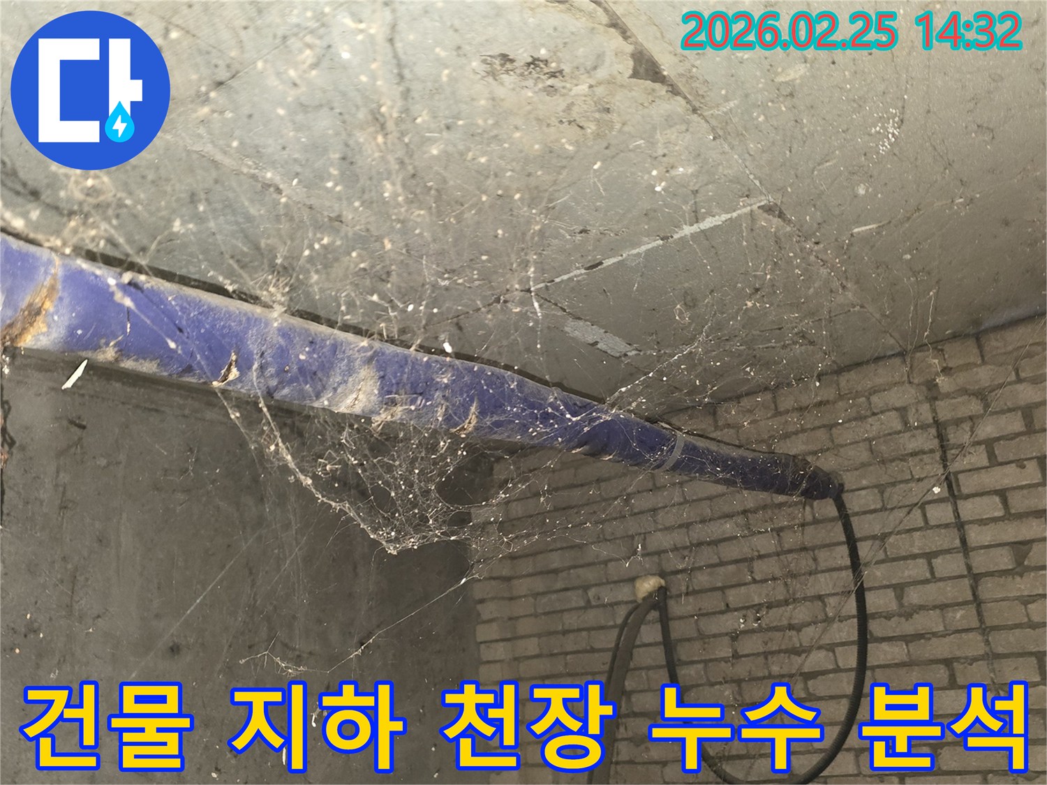강동구 진황도로 인근 건물-지하 천장에 거미줄이 엉켜있는-누수 원인 분석 전-현장 준비 모습을 담은 사진입니다.
