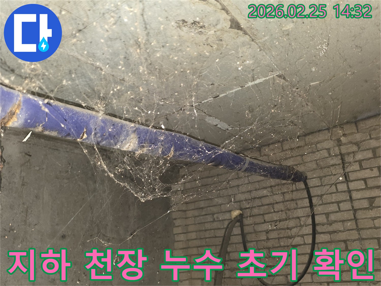 강동구 진황도로 인근-오래된 지하 공간의 천장-누수 탐지를 위한-첫 현장 확인 모습입니다.