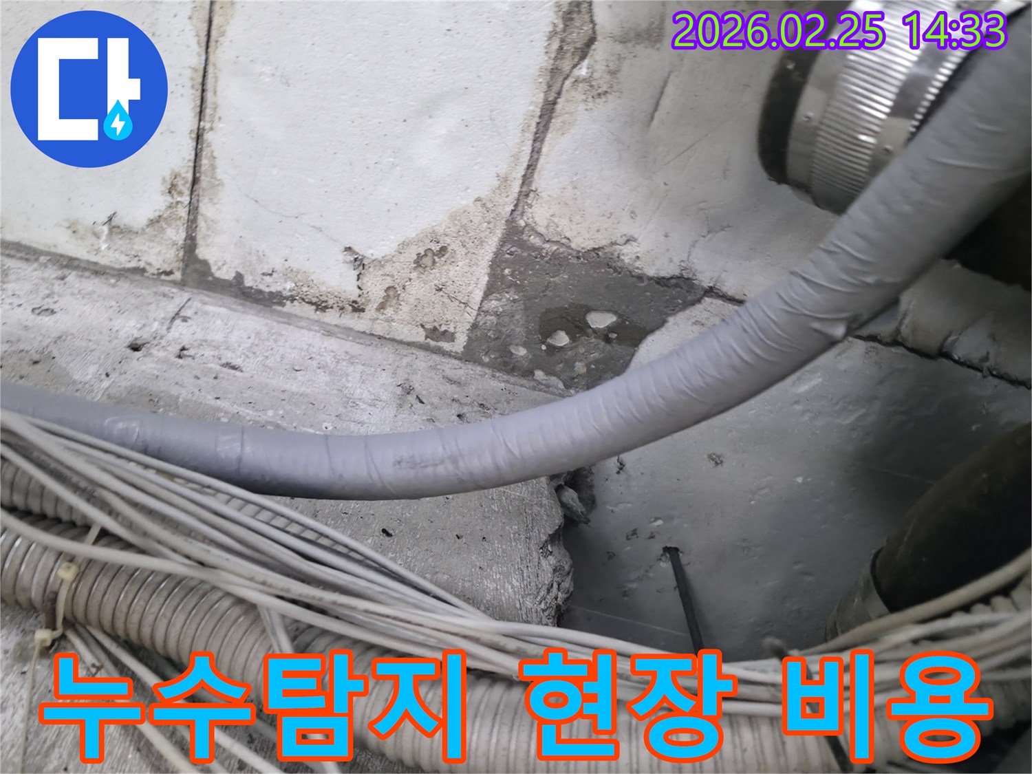 누수 엔지니어가-배관 주변의-습기 흔적과-콘크리트 손상을-탐지하며-합리적인 비용으로-최고의 서비스를 제공하는 현장
