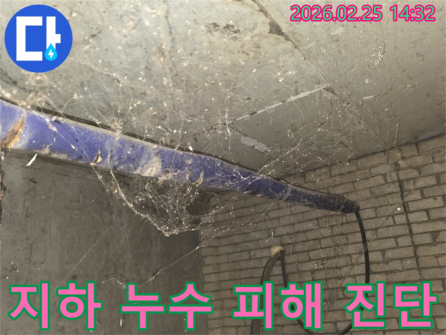 서울 강동구 진황도로 인근-오래된 지하 공간의 천장에-거미줄과 먼지가 가득한-장기 방치된 누수로 인한-피해 진단 전 현장 모습입니다.