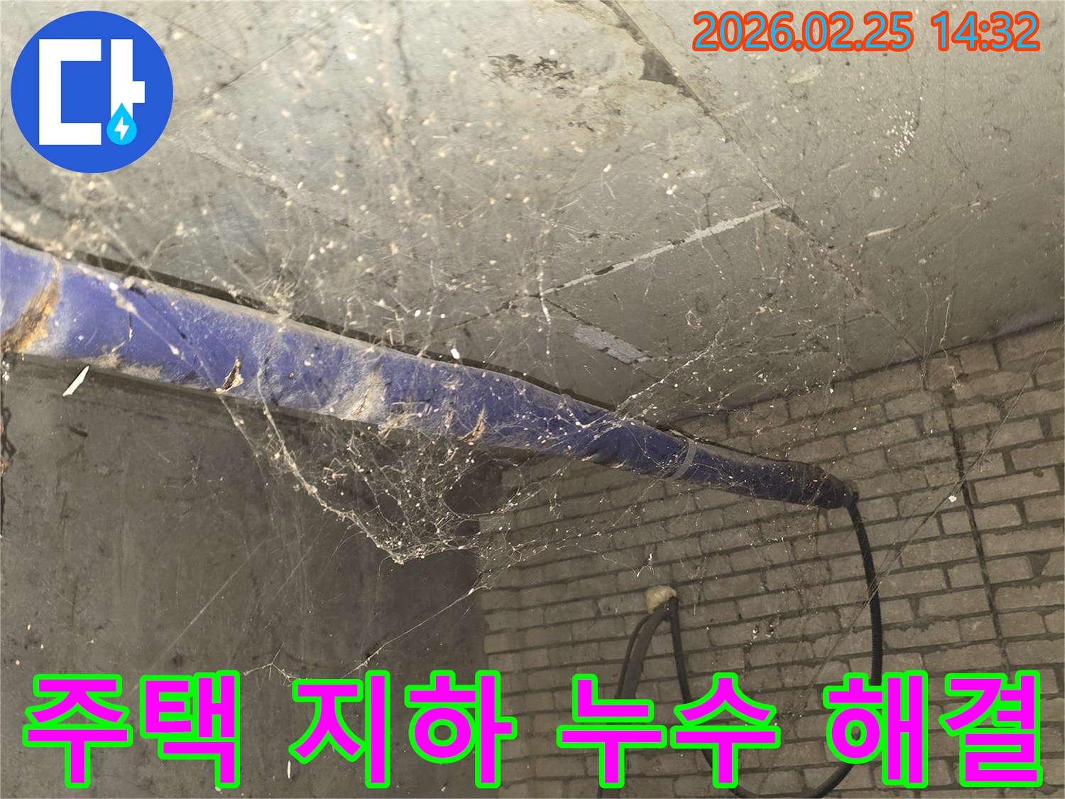 서울 강동구 진황도로 인근 주택-지하 천장에 거미줄이 가득한-누수 문제 해결 전-현장 상황을 담은 사진입니다.