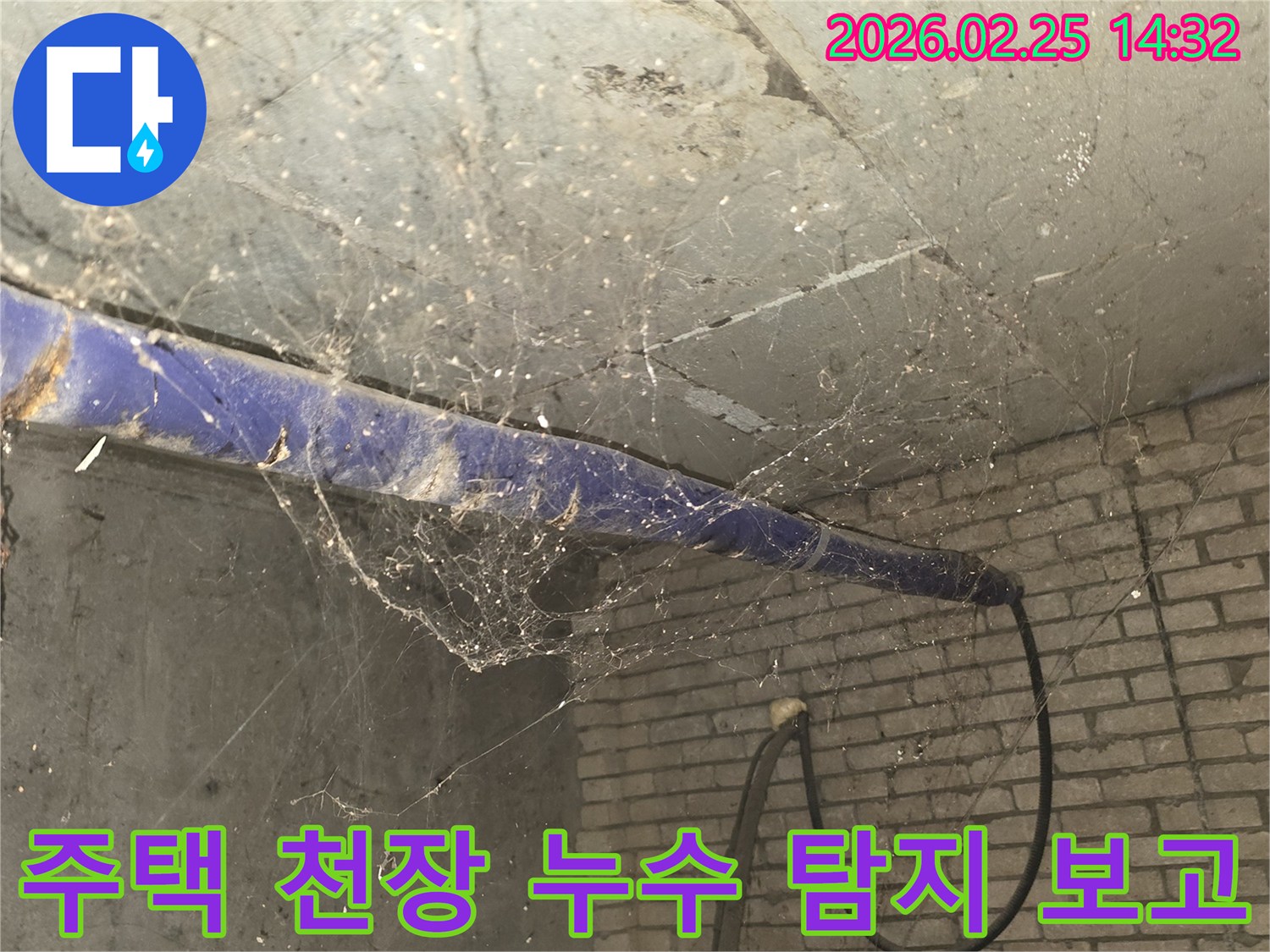 서울 강동구 진황도로 인근 주택-지하 천장에 거미줄이 가득한-누수 탐지 전-현장 상황을 담은 사진입니다.