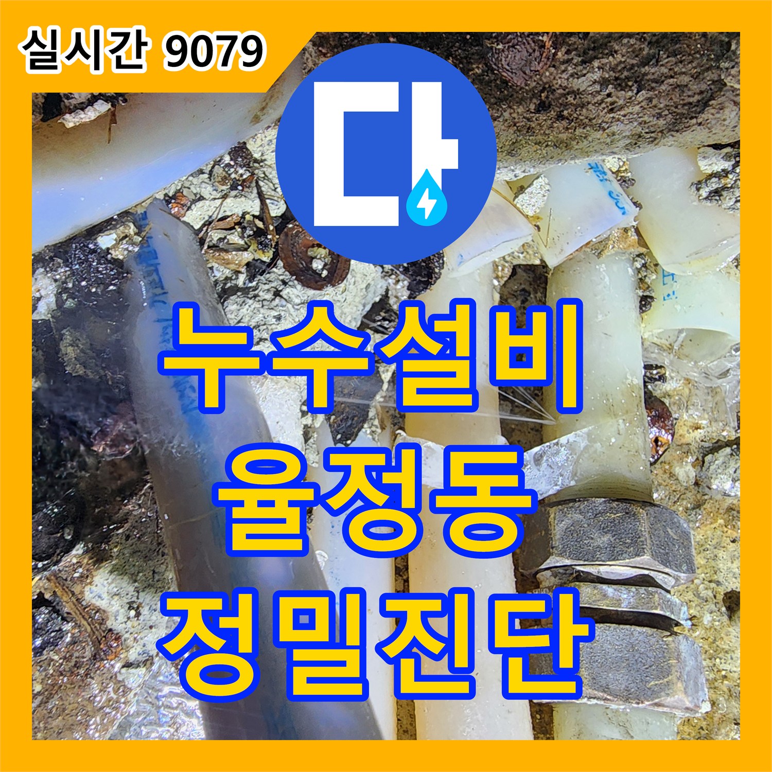 누수설비업체, 벽면 젖음 현상의 원인인 내부 배관 누수를 정밀하게 진단하고 조치하는 경기 양주시 율정동 현장