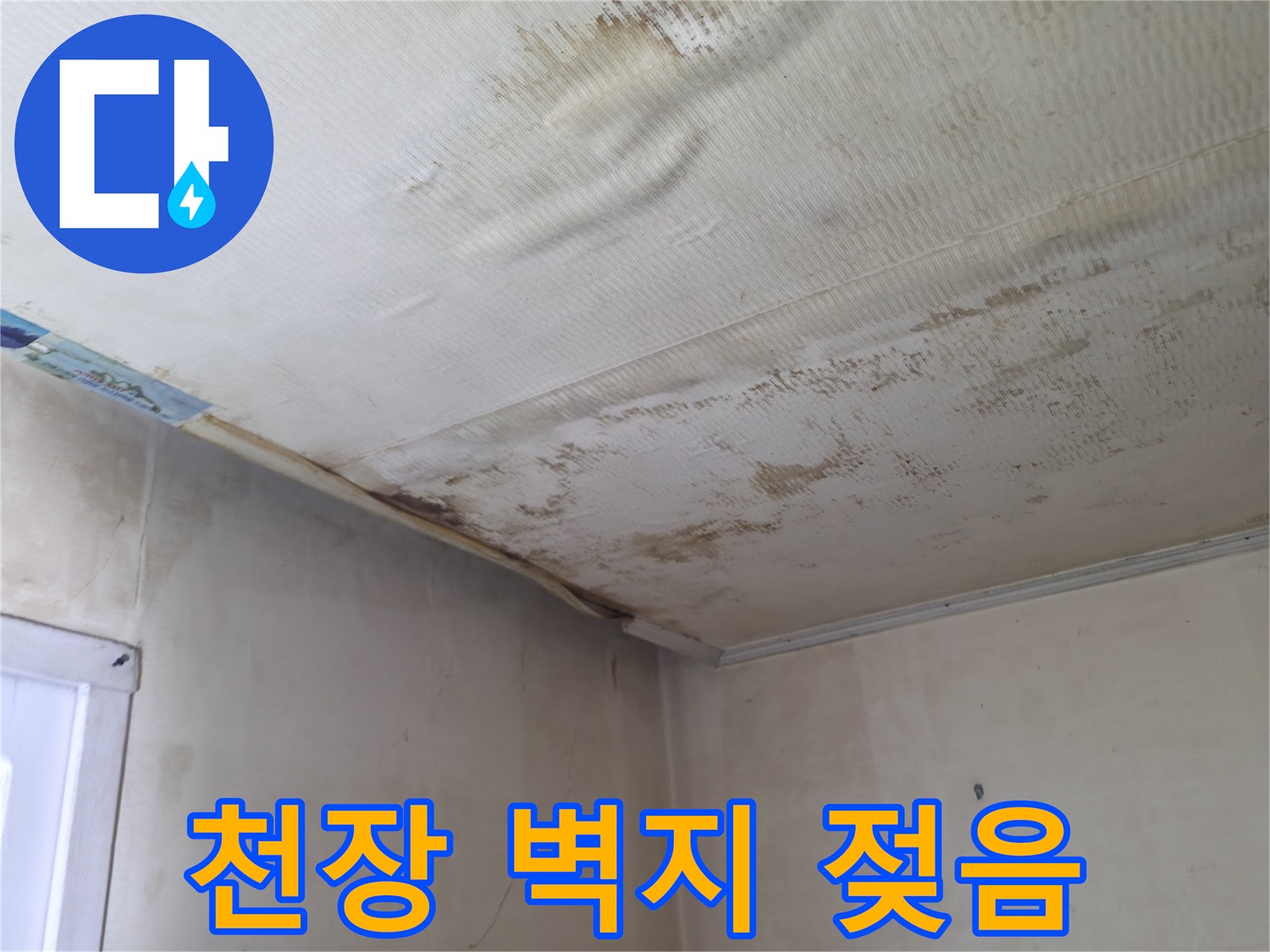 누수로-인해-변색된-천장-벽지와-곰팡이-발생-부위