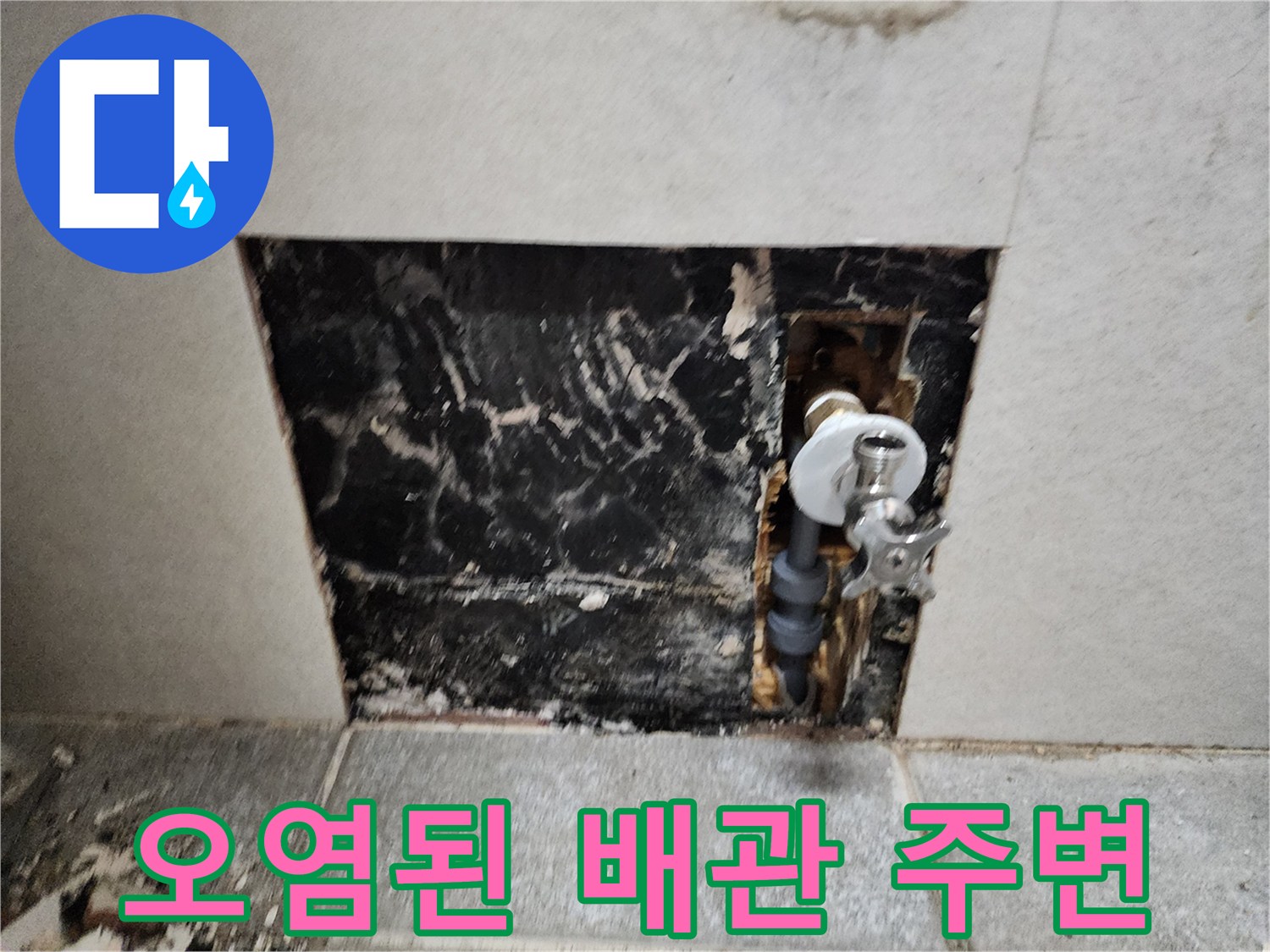 배관 부속 주변의-심한 습기와 곰팡이