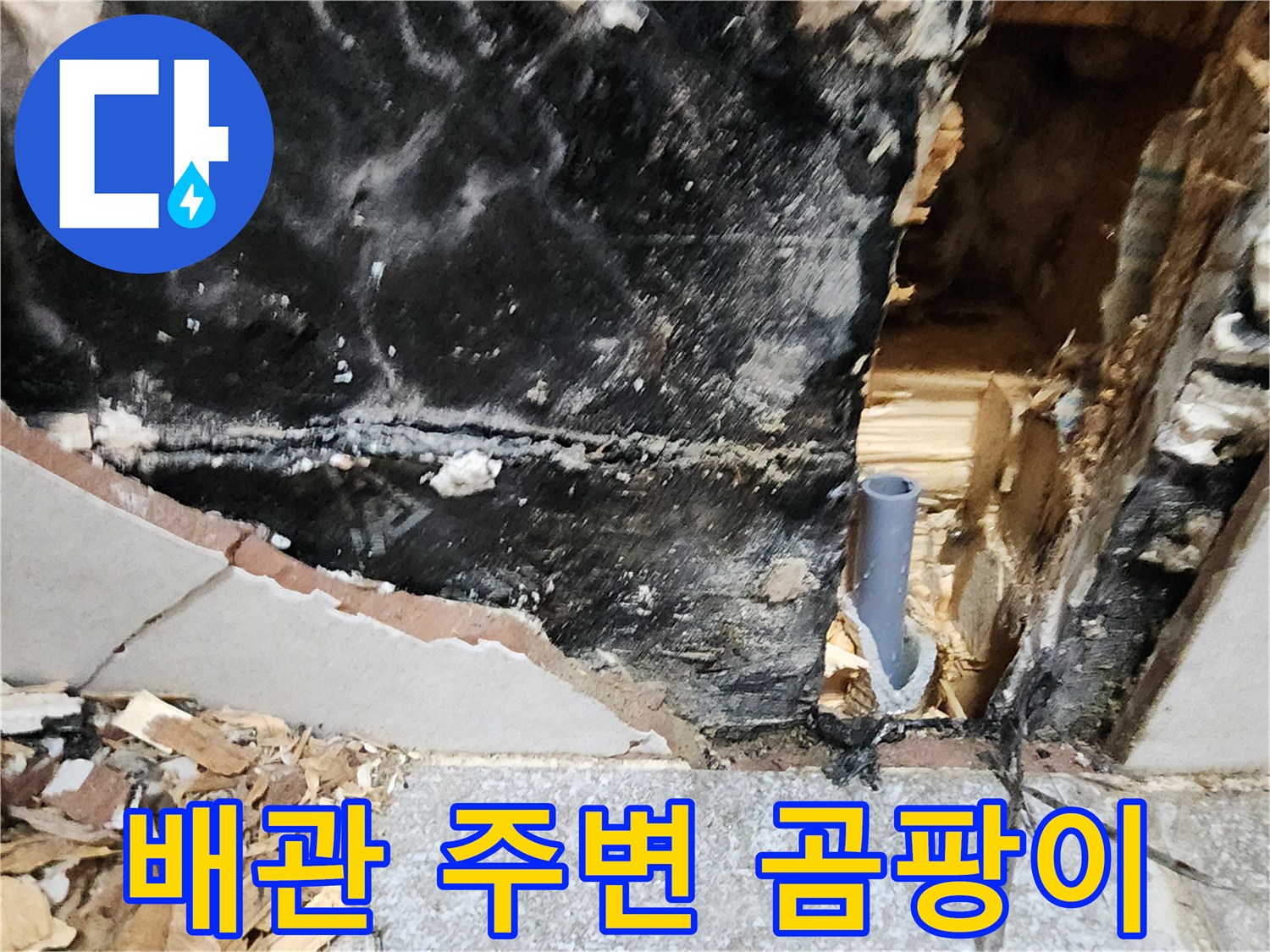 배관 주위로 퍼져 있는 검은색 곰<0xAE>팡이 흔적