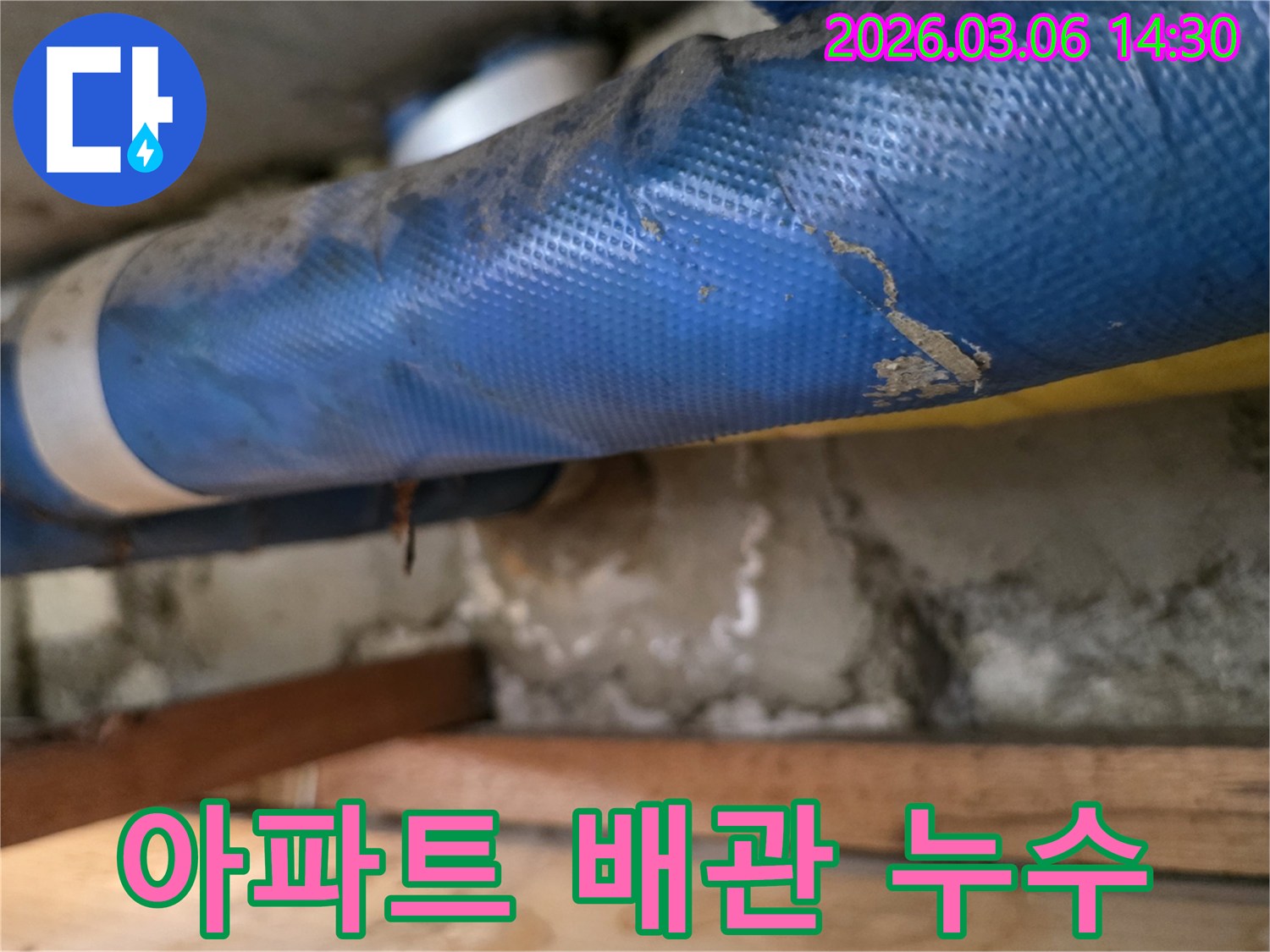 아파트 내부-파란색 배관과-젖은 콘크리트 벽면-그리고 나무 지지대를-정밀하게 점검하는 모습