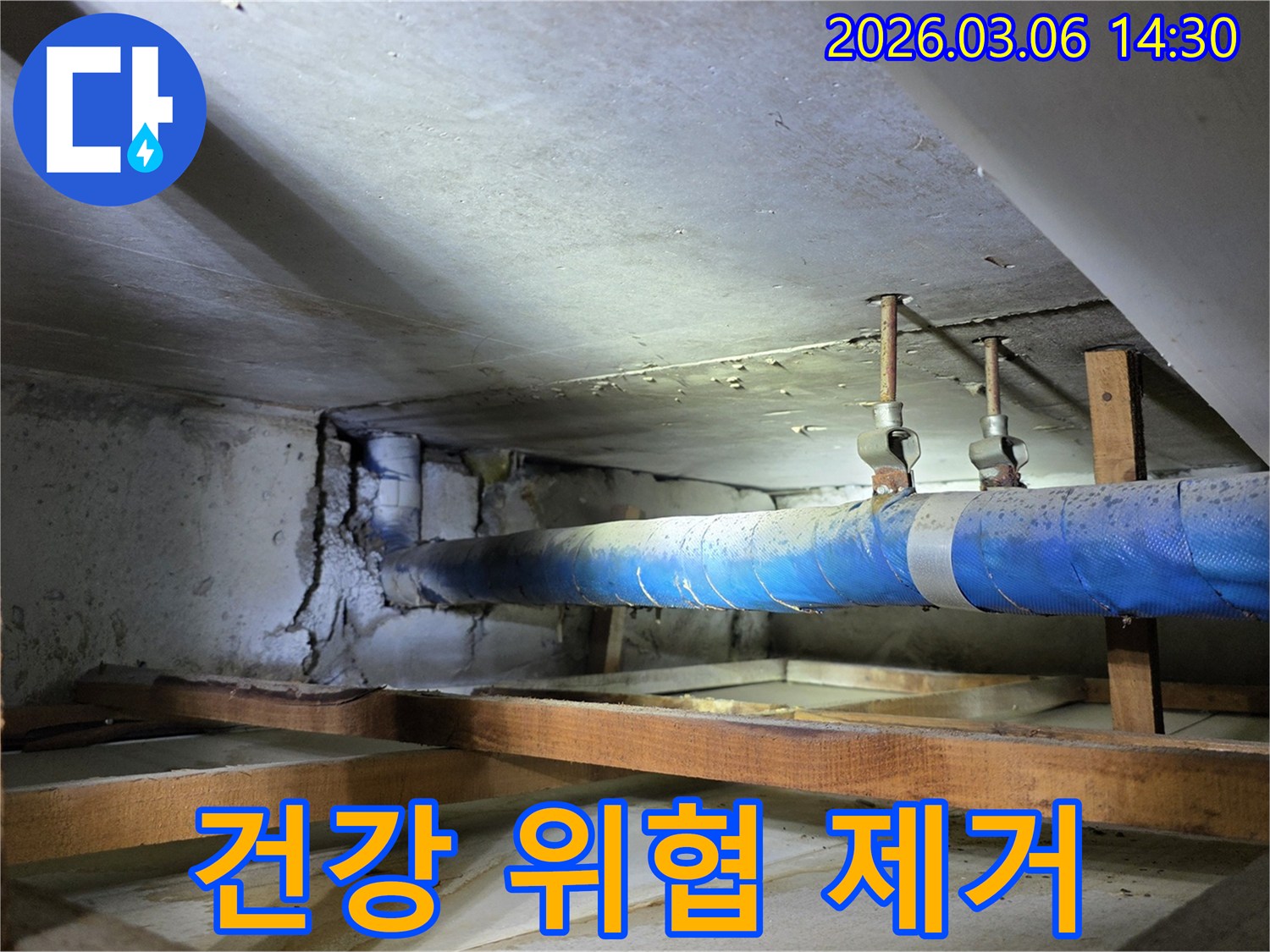 지하 공간의 파란색 배관 주변-누수로 인한 습기와 곰팡이로-오염된 콘크리트 벽면을-누수 엔지니어가-건강 위협 요소를 제거하기 위해-점검하는 모습