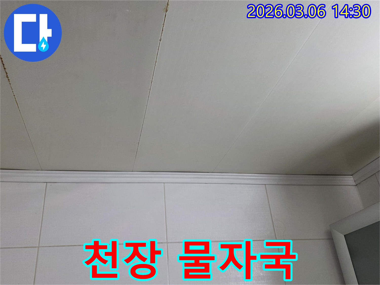 천장에-생긴-물자국이-건강에-미칠-영향을-고려한-진단-사진입니다