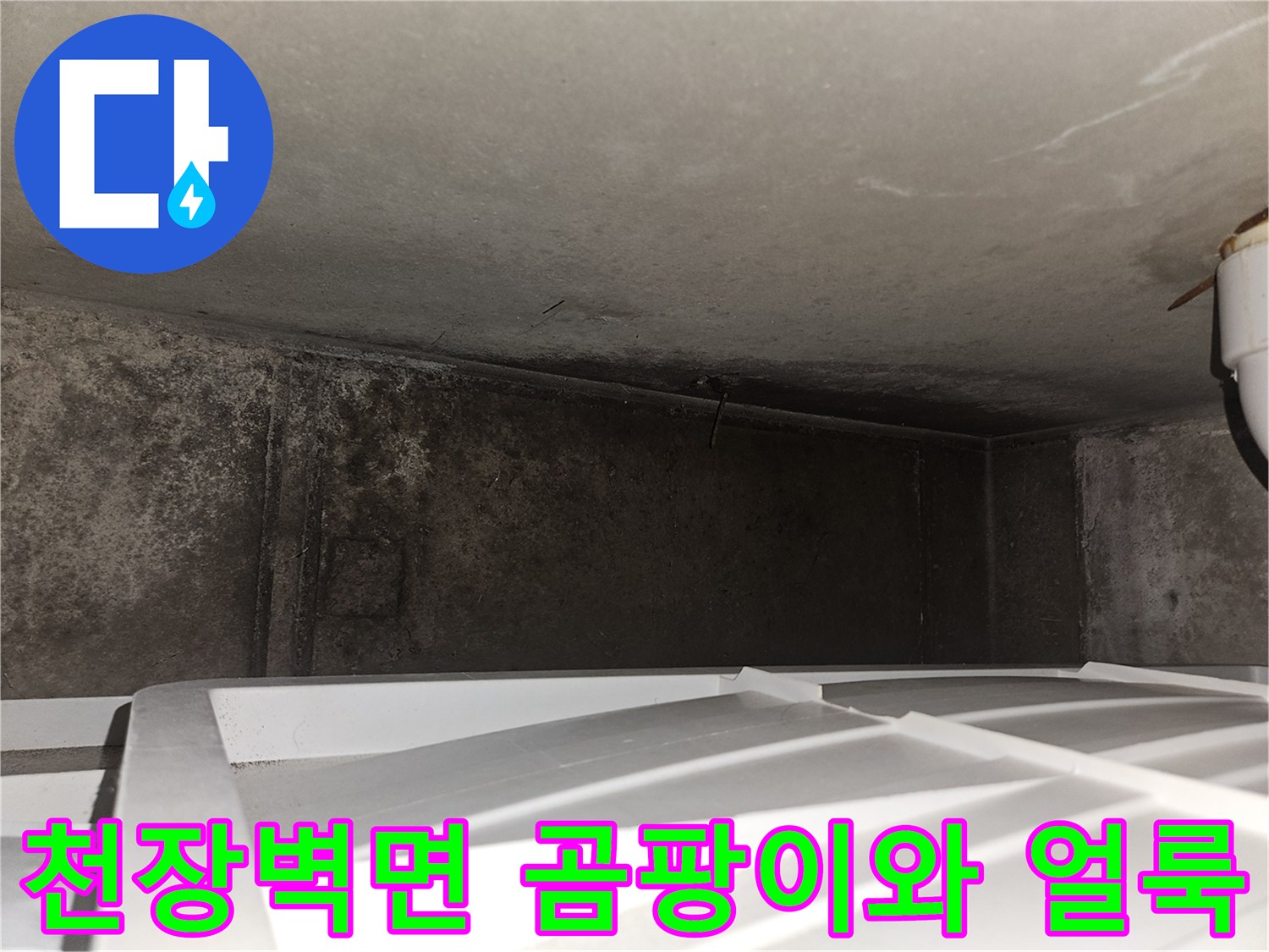아랫집 거실 천장 부근의 벽면 - 곰팡이와 습기로 인한 오염 상태