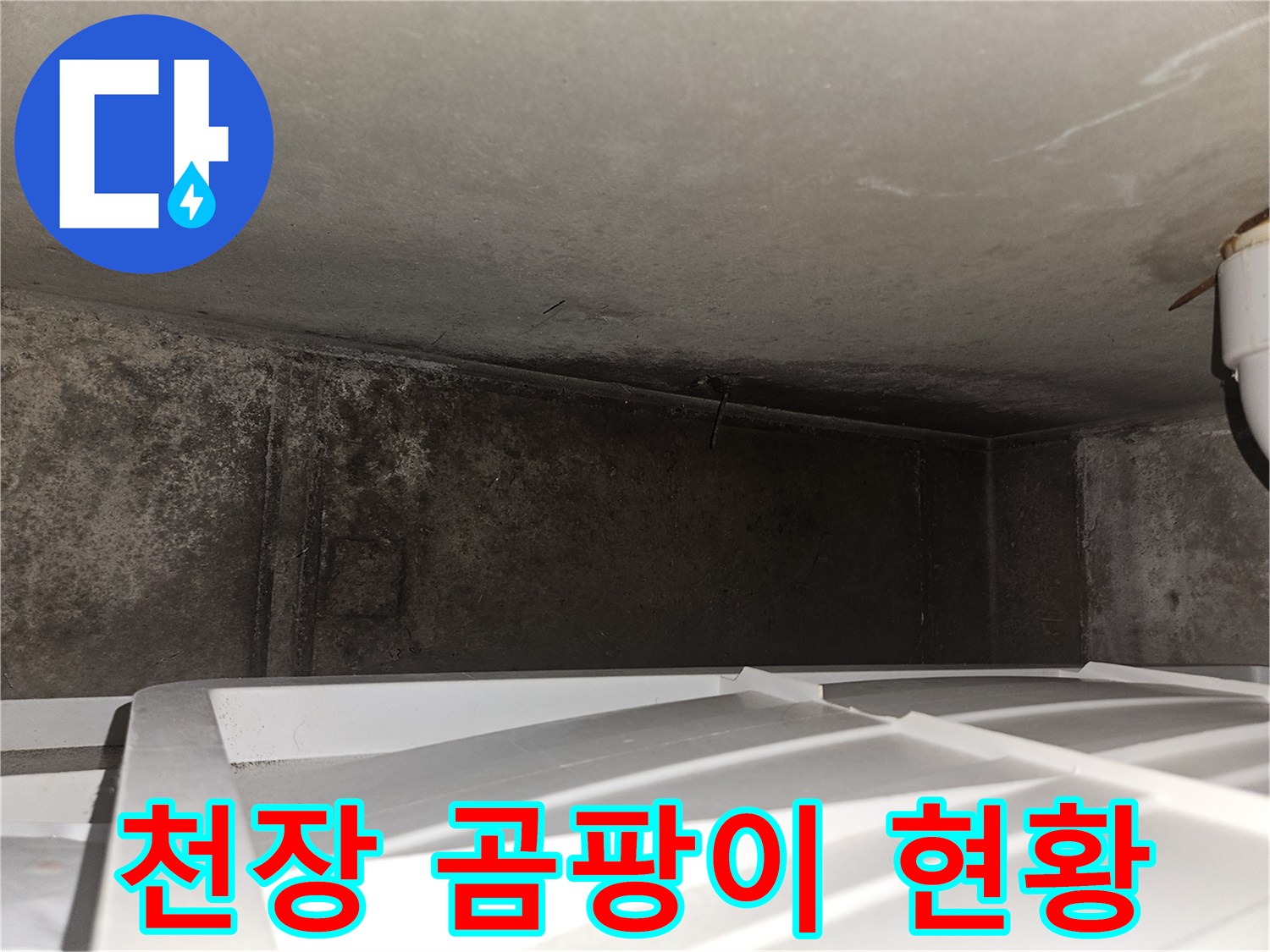 아랫집 거실 천장 슬래브의 습기와 곰팡이 발생 상태