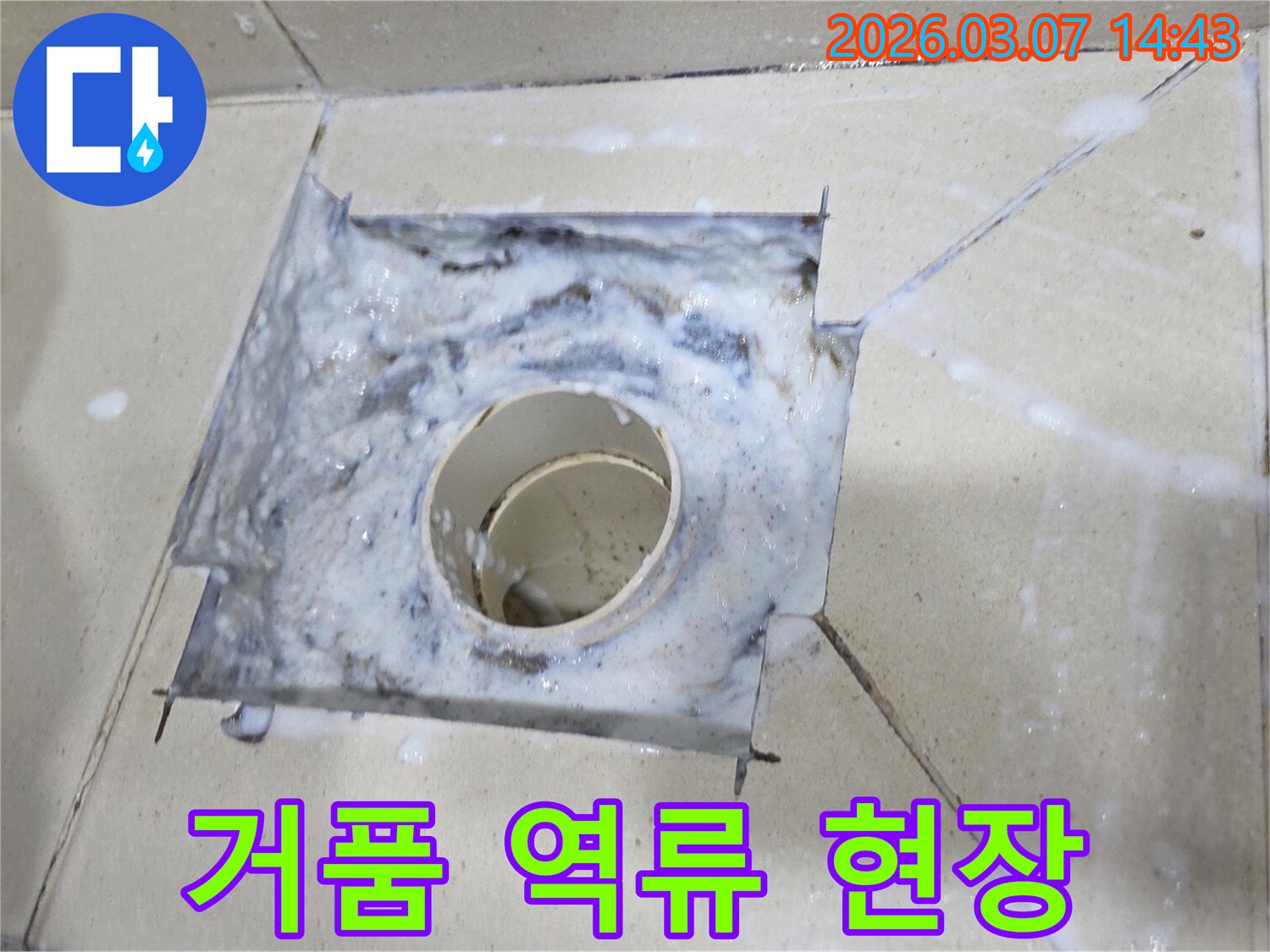 배수구에서 하얀 거품이 솟아오르는-심각한 배관 막힘 상황을 생생하게 보여줍니다.