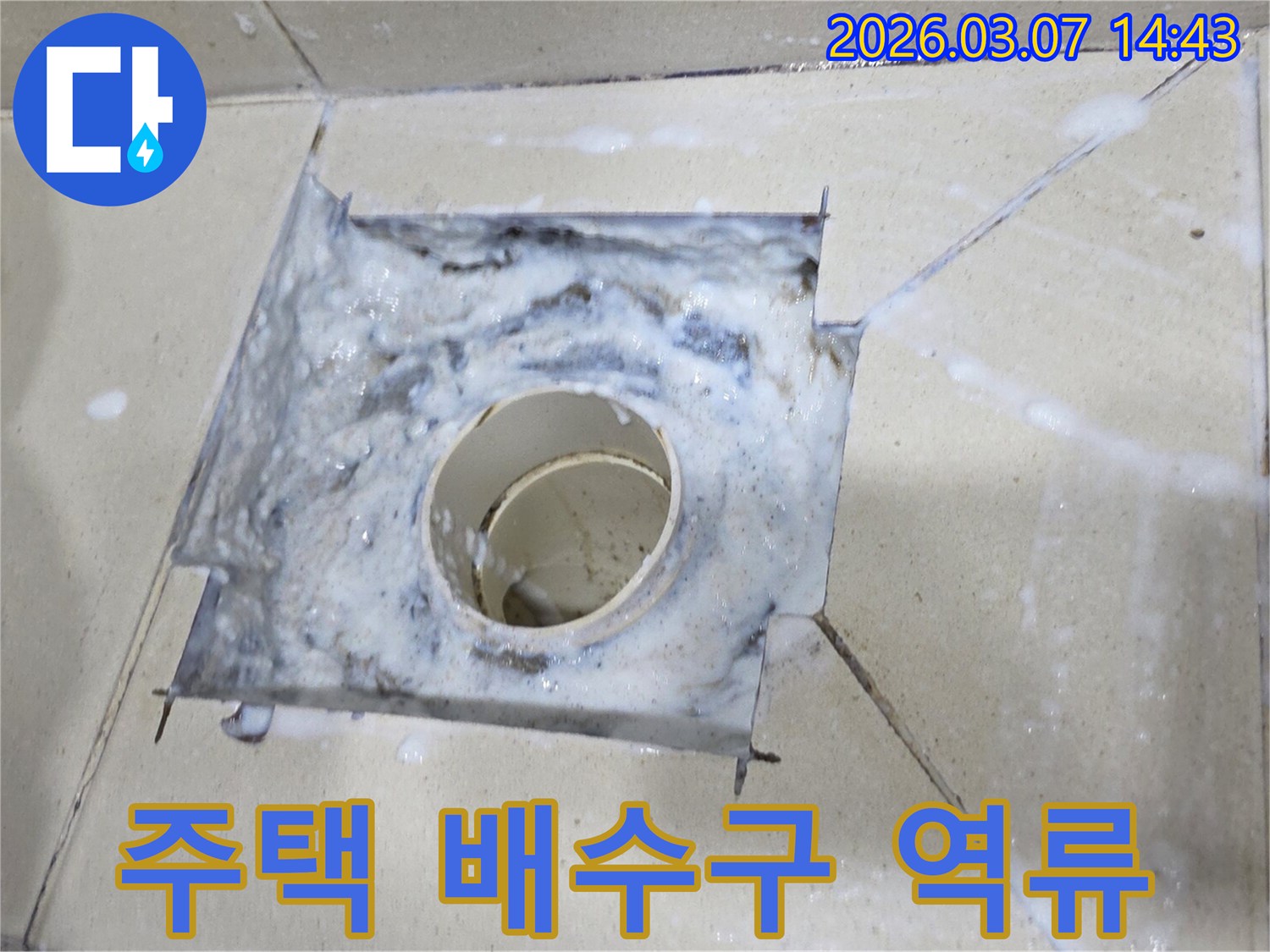 욕실 바닥 배수구에서 하얀 물거품이 솟아오르는-심각한 배수 시스템 문제를 보여줍니다.