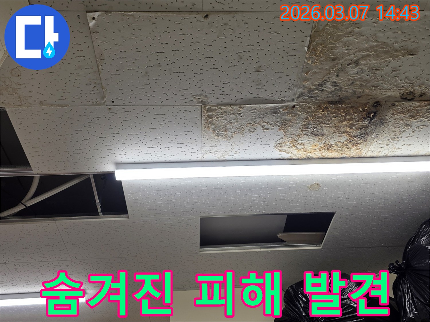 천장 텍스-제거 후-드러난-내부 공간에서-숨겨진-누수 피해를-정밀하게-진단하는-모습을-담은-사진입니다