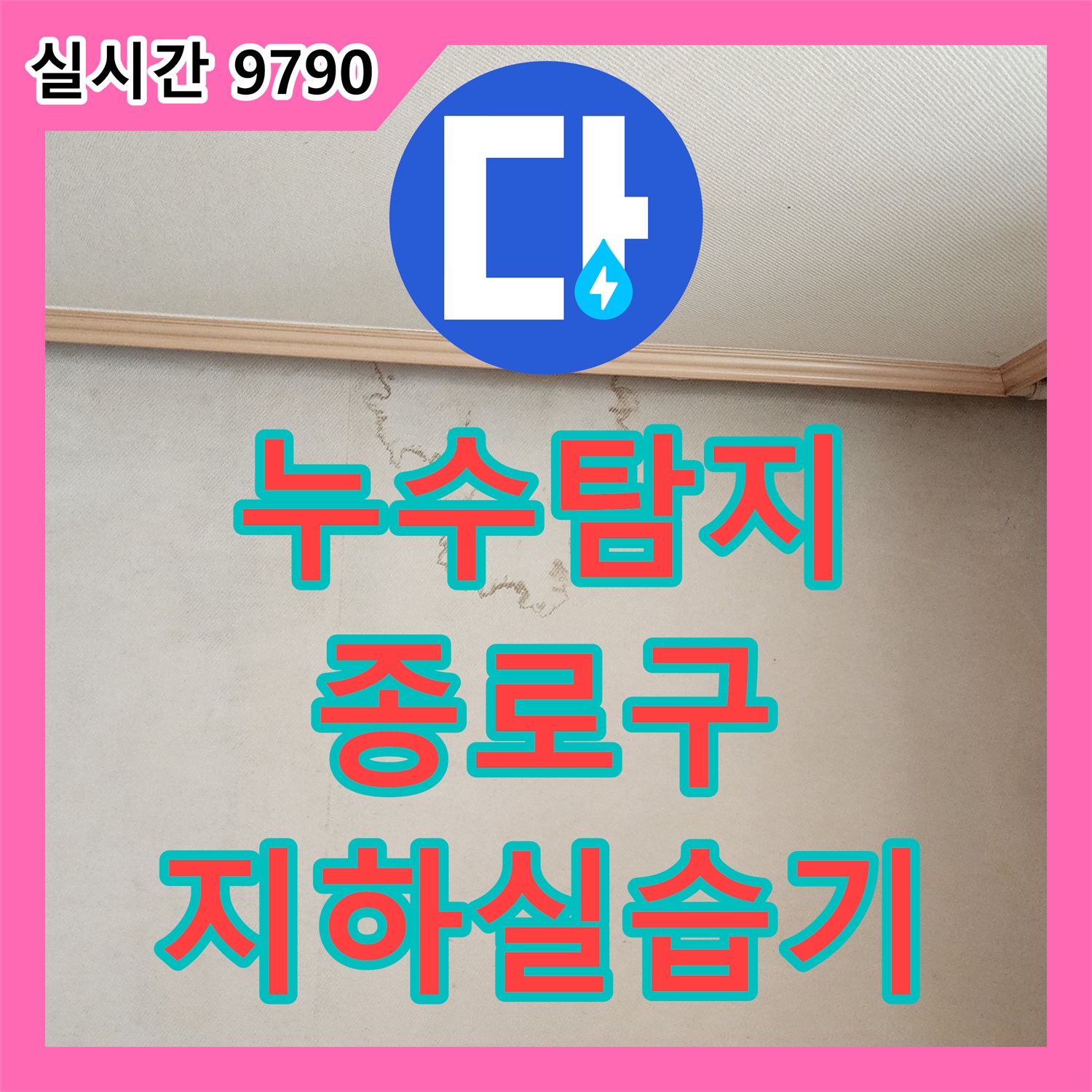 누수탐지전문, 서울 종로구 주택 지하실 벽면 습기 누수 문제 꼼꼼하게 탐지하고 해결