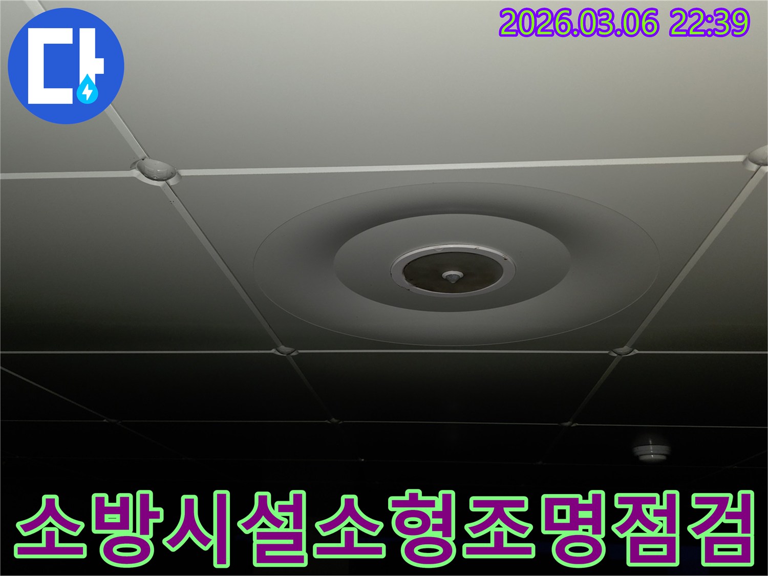 누수 전문가가-천장 패널에-설치된-소방-시설과-소형-조명-주변을-살펴보며-누수로-인한-안전-위험을-확인하는-모습