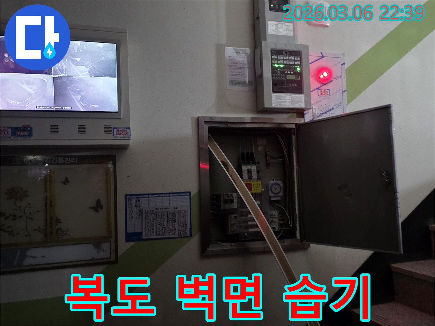 누수 현장에서-복도 벽면의 도장 상태와-녹색 줄무늬 주변의-습기 침투 흔적을-종합적으로 진단하는 모습입니다.