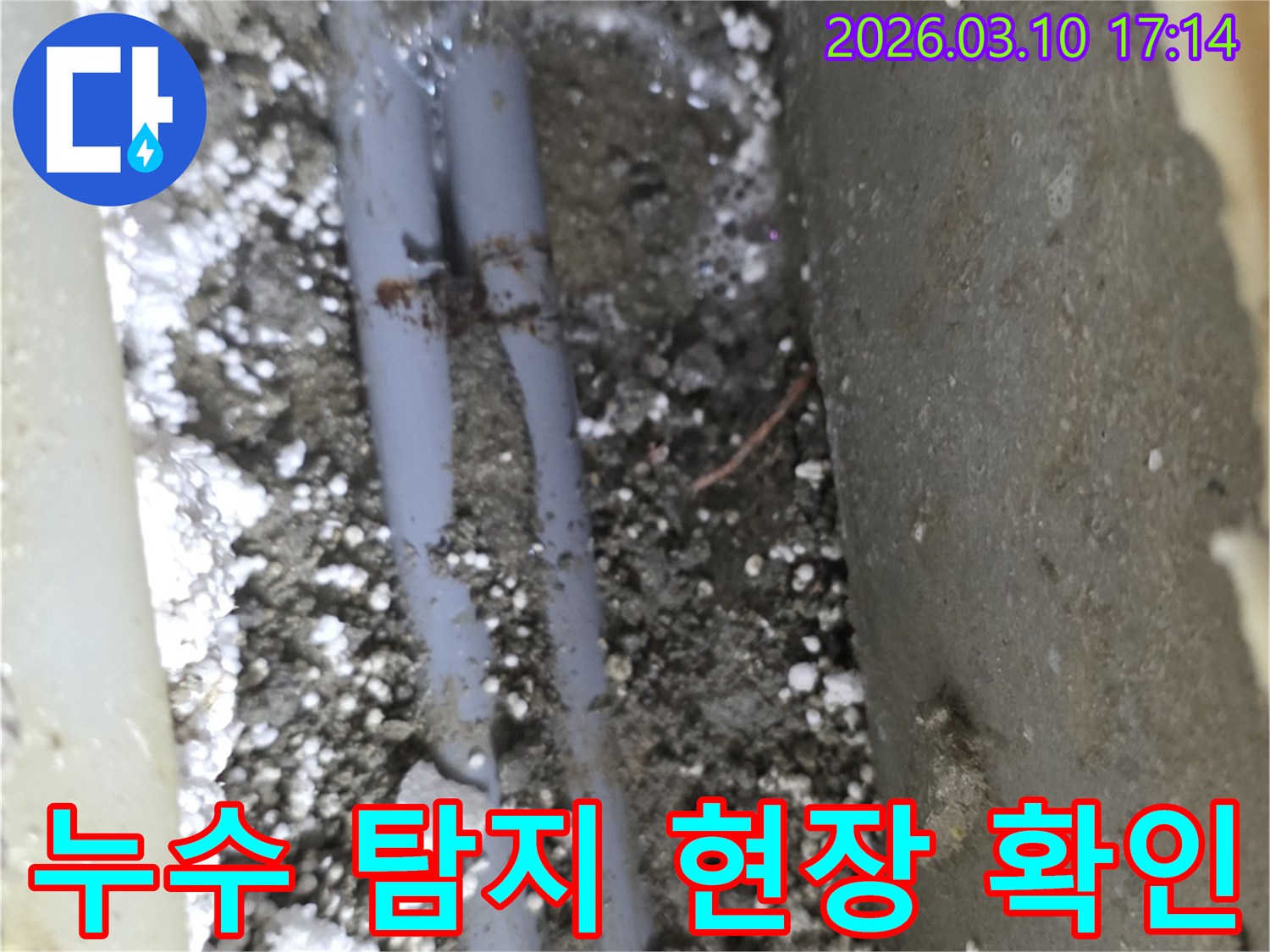 땅속에 묻힌 배관 주변의 젖은 흙과-누수 발생 지점을 명확히 보여주는-정밀 탐지 현장