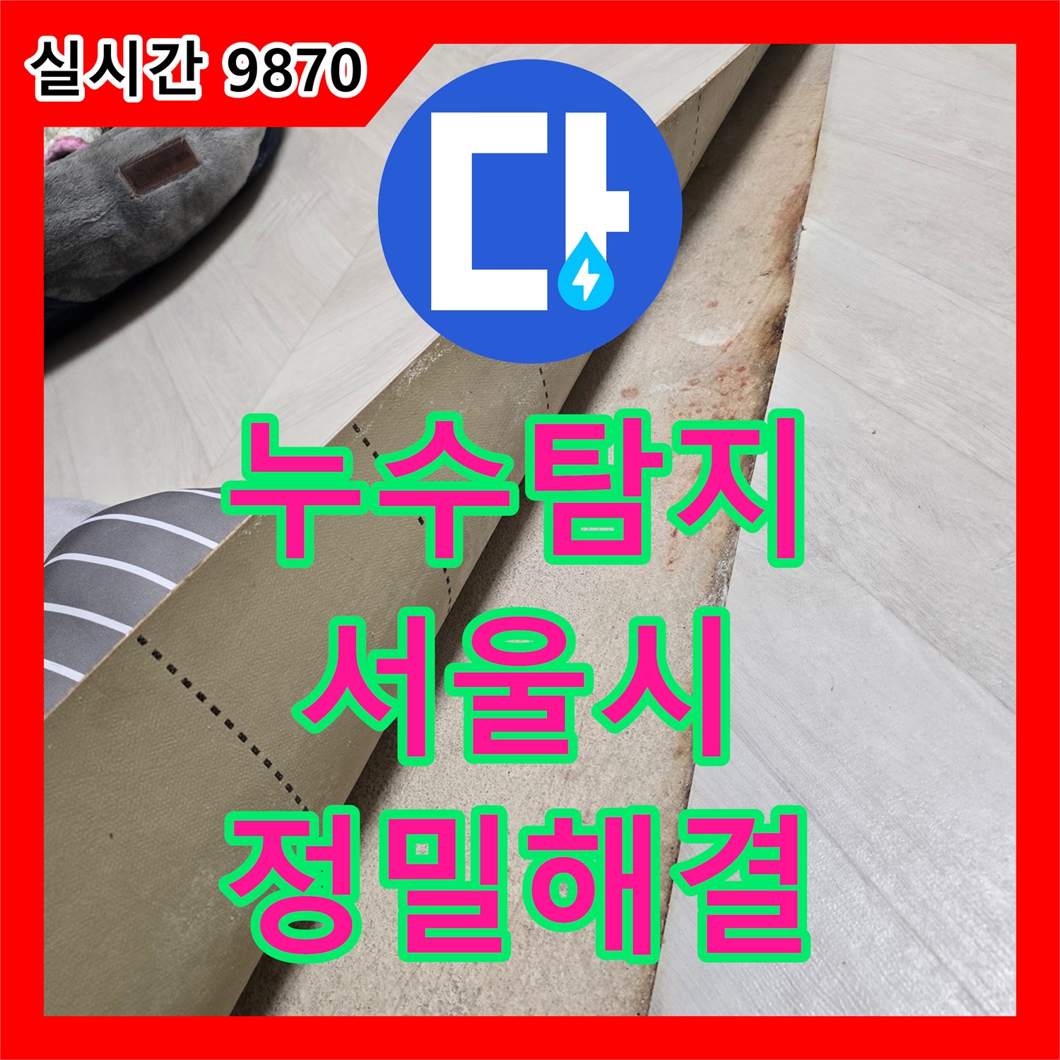 누수탐지, 마포구 주택 장판 아래 물기 흥건 누수, 첨단 장비로 정밀하게 탐지하여 해결하는 마포구