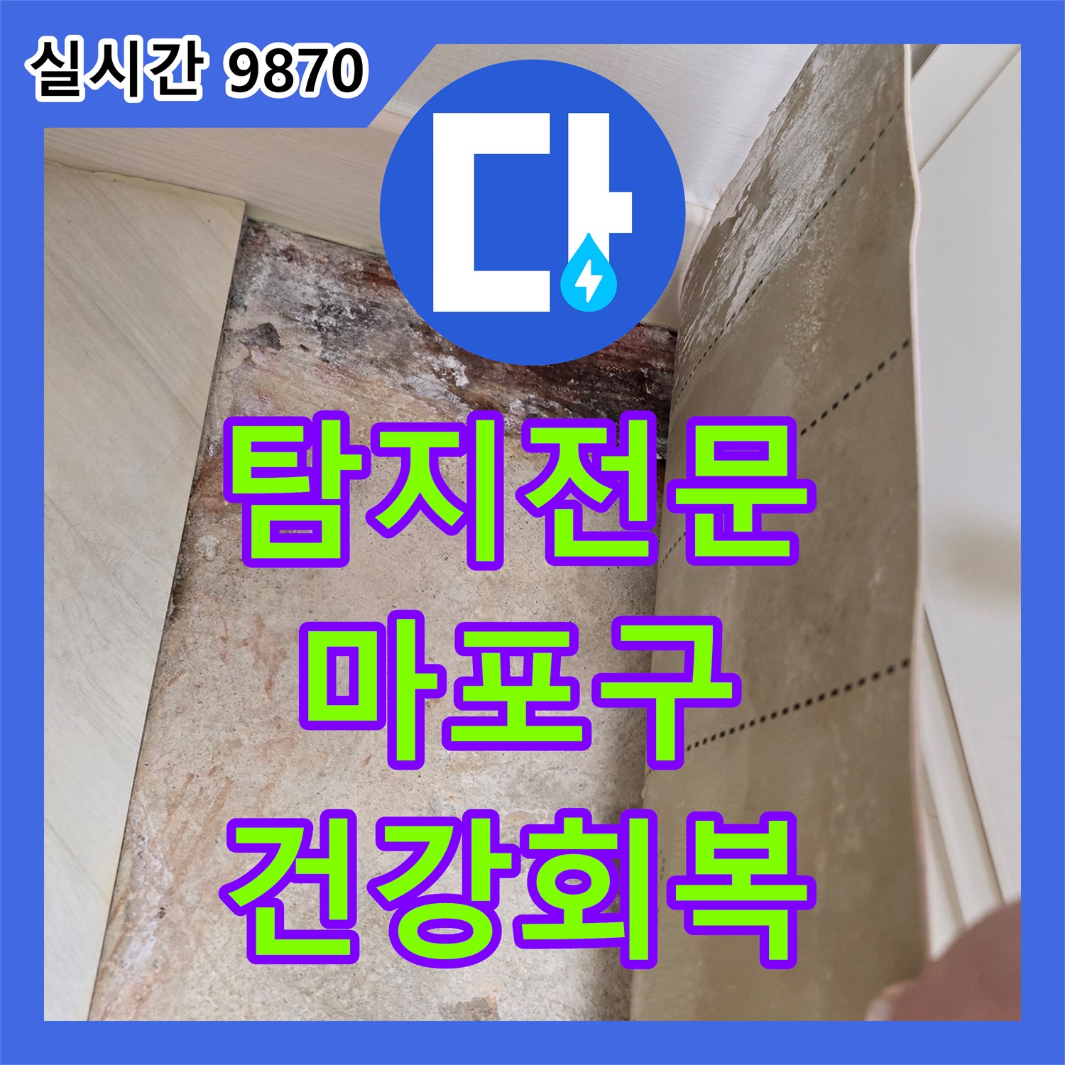 누수탐지전문, 마포구 빌라 벽면 누수와 곰팡이, 최신 장비로 정확히 찾아 건강한 환경을 되찾는 마포구