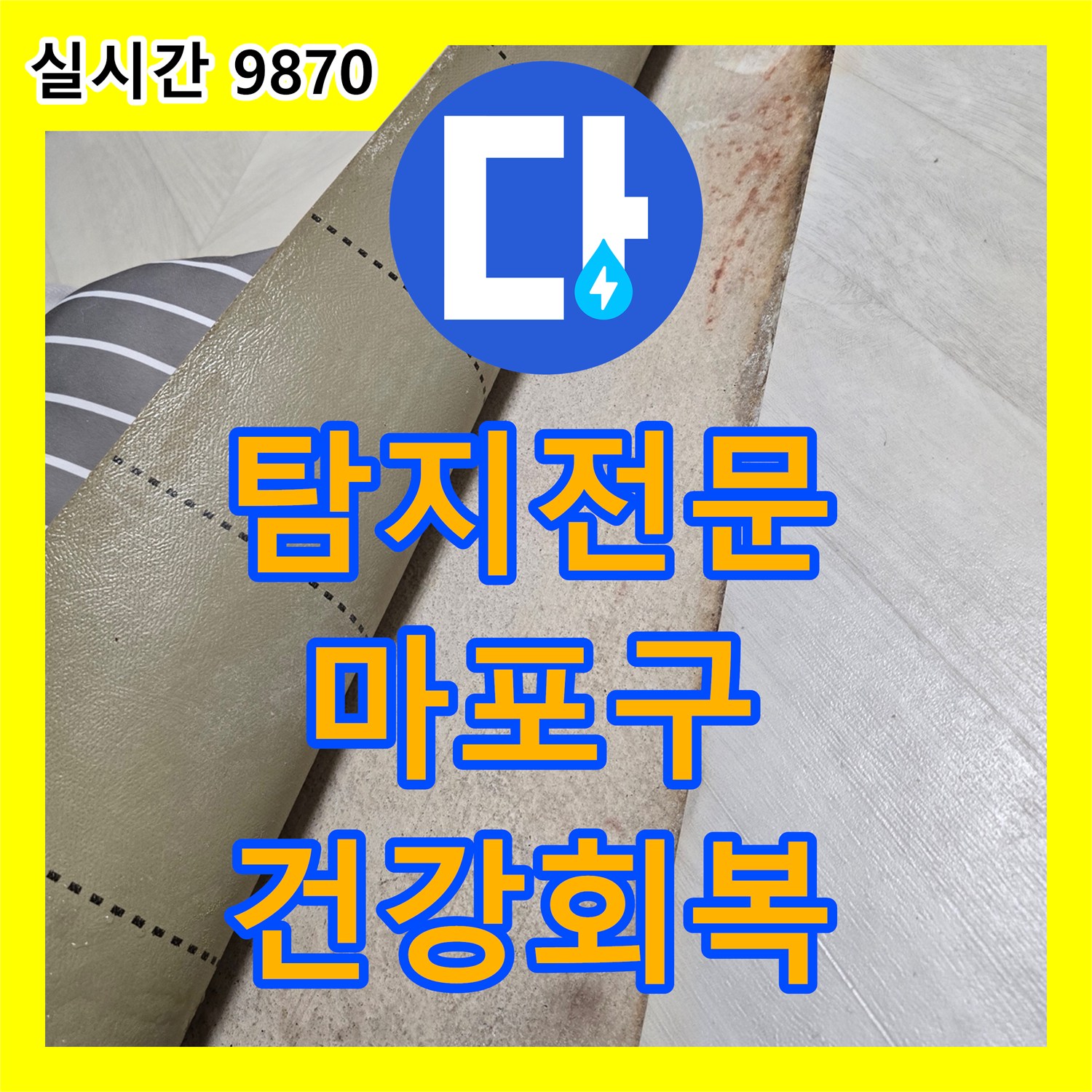 누수탐지전문가, 마포구 빌라 벽면 누수와 곰팡이, 정밀 탐지로 건강한 환경을 되찾는 과정
