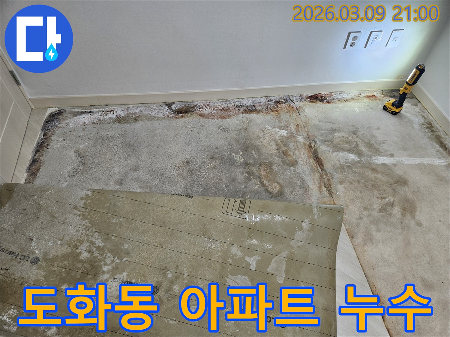 마포구-아파트-바닥에서-발견된-심각한-누수-흔적과-젖은-장판-아래-콘크리트-상태