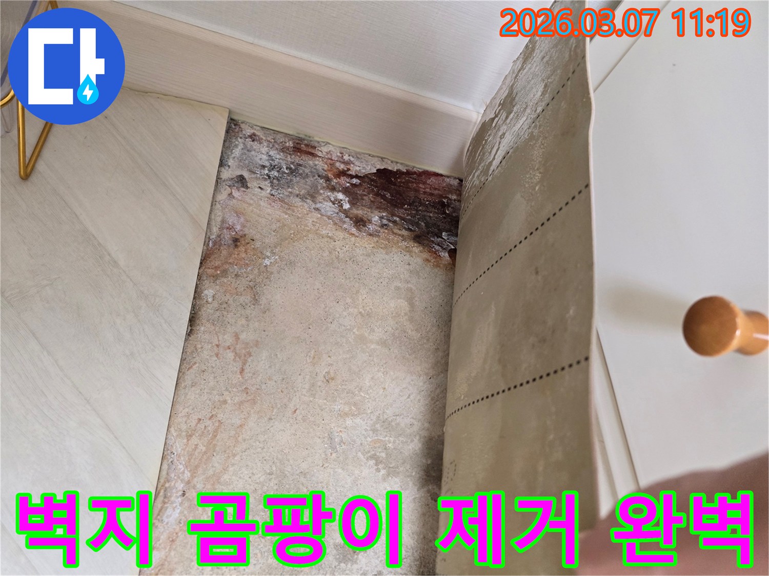 벽지를 뜯어낸 후 드러난 벽면의 심각한 곰팡이와-누수 흔적을 보여주는 클로즈업 사진