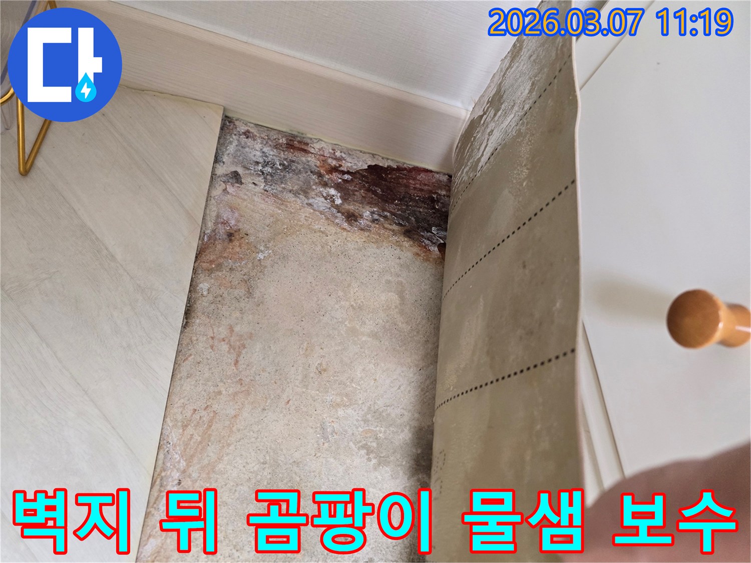 벽지를 제거한 후 드러난 벽면의 심각한 곰팡이와-물샘으로 인한 손상 흔적을 보여주는 이미지