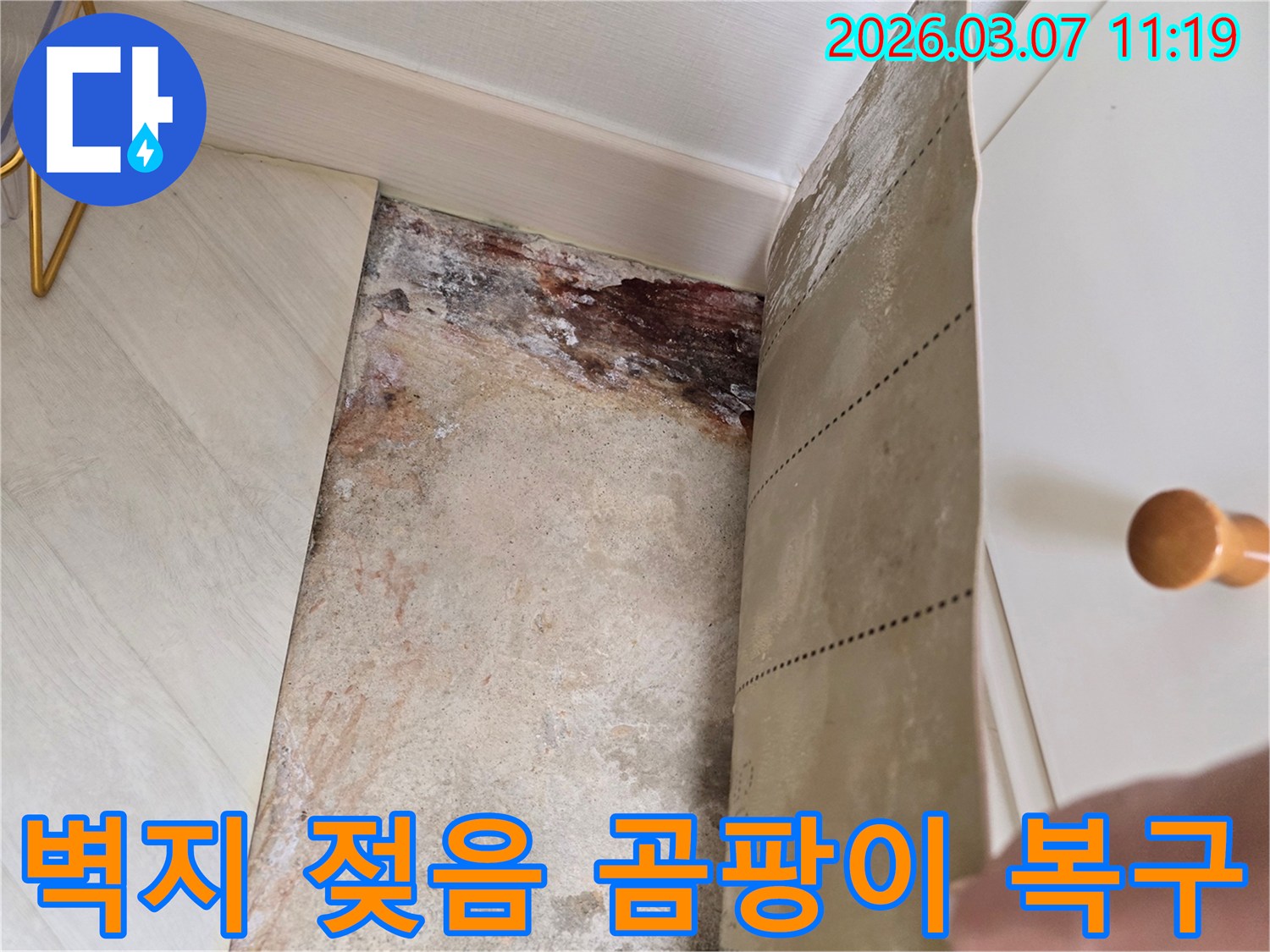 벽지를 제거한 후 드러난 벽면의 심각한 물기로 인한 손상과-곰팡이 흔적을 보여주는 사진