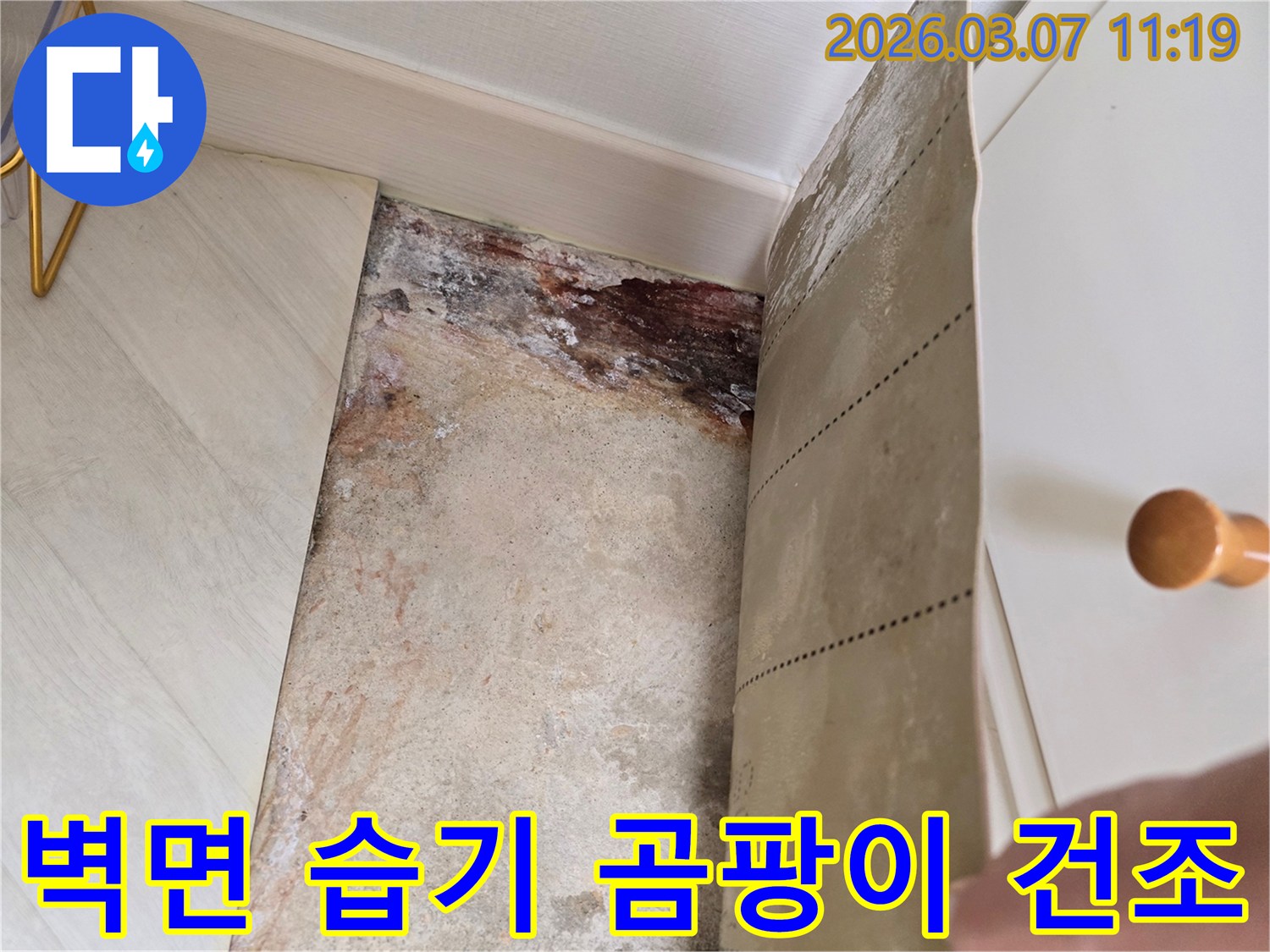 벽지를 제거한 후 드러난 벽면의 심각한 습기 흔적과-곰팡이로 오염된 벽면의 상세 이미지