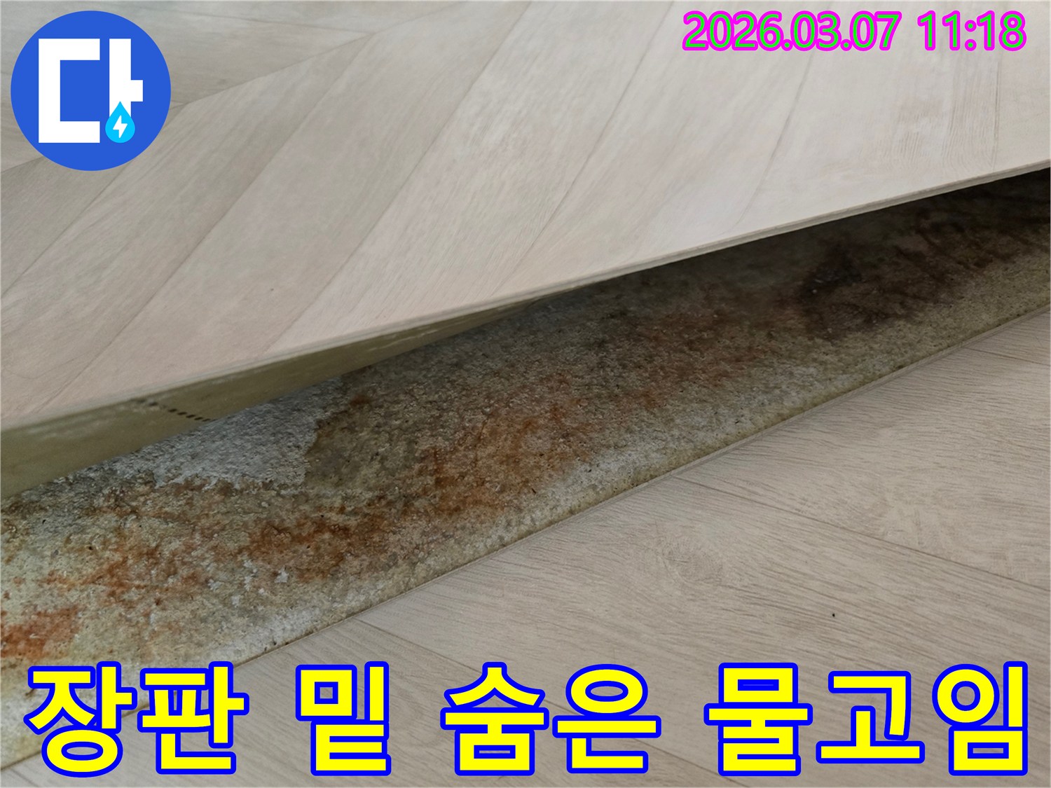 상가 장판 아래에서-오랜 누수로 인해 생긴-물고임과 변색이 선명하게 보이는 이미지