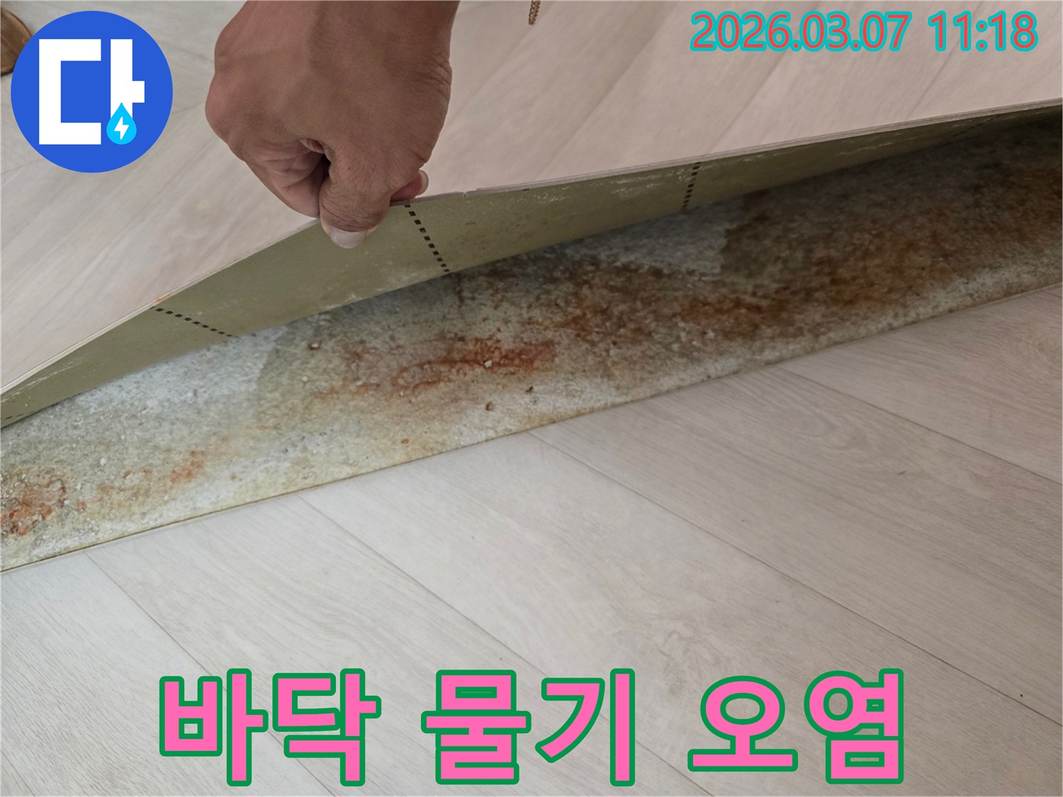 장판을-걷어내고-발견된-물기와-오염으로-손상된-바닥-표면