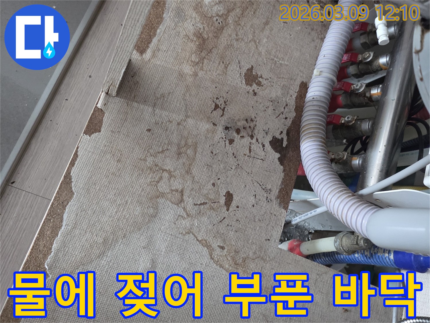 물에 젖어 심하게 부풀어 오른 바닥 마감재의 모습-장기간 누수로 인한 심각한 피해 현장