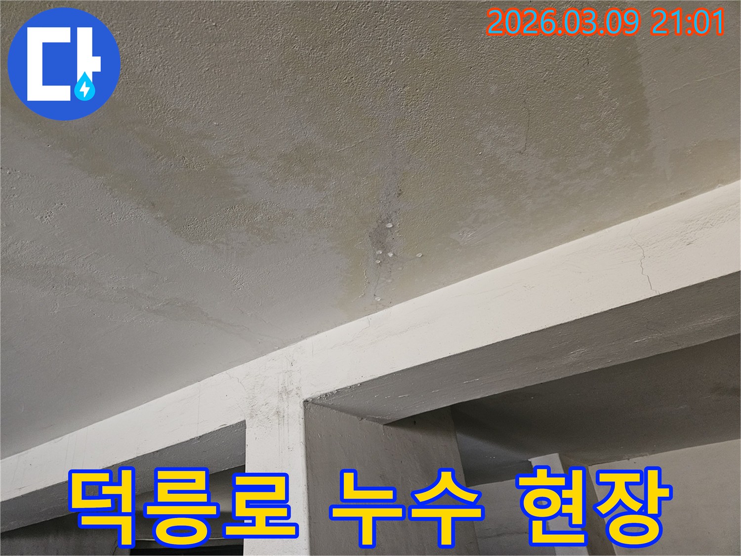 도봉구 덕릉로의-한 건물-천장에서-물이 새어-얼룩지고-물방울이 맺힌-누수 현장-사진입니다.