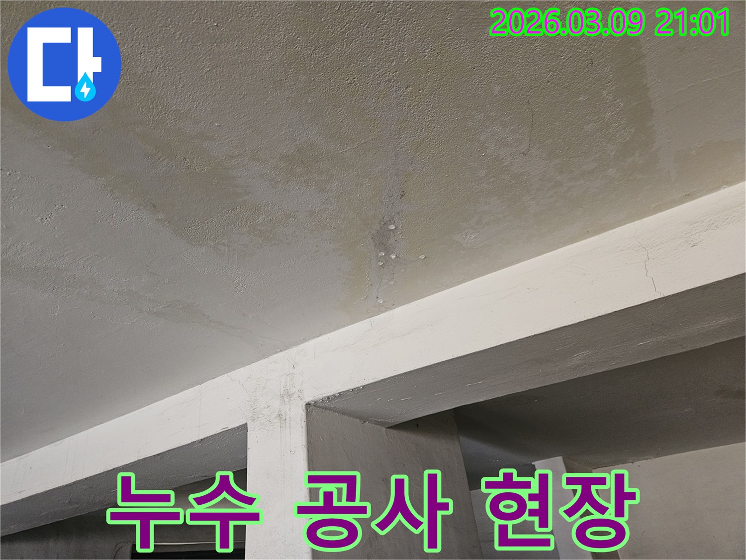 콘크리트 천장에서-물이 새어-얼룩지고-물방울이 맺힌-누수 현장을-공사하기-위해-확인하는-모습입니다.