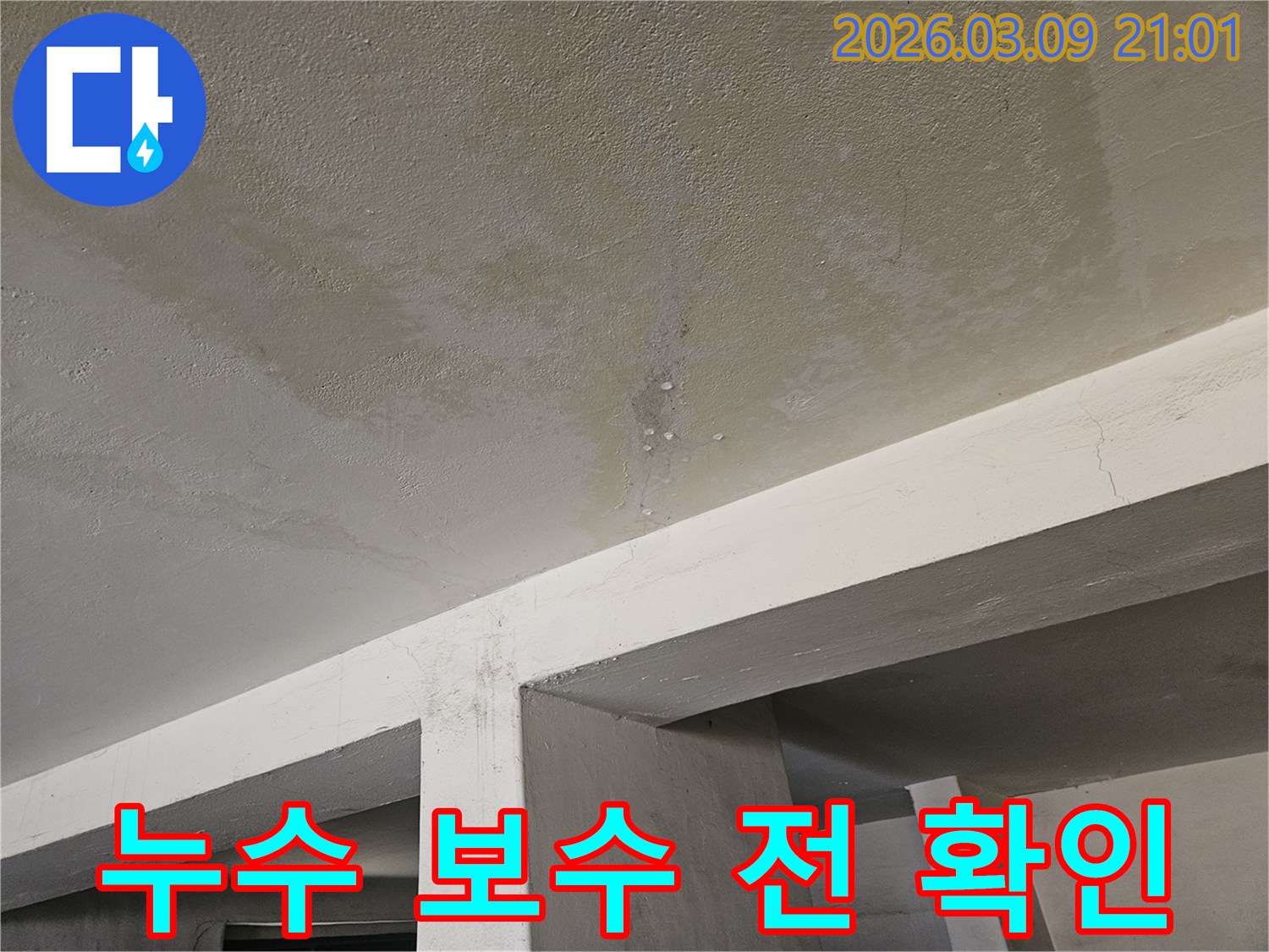 콘크리트 천장에서-물이 새어-얼룩지고-물방울이 맺힌-누수 현장을-보수하기-위해-확인하는-모습입니다.