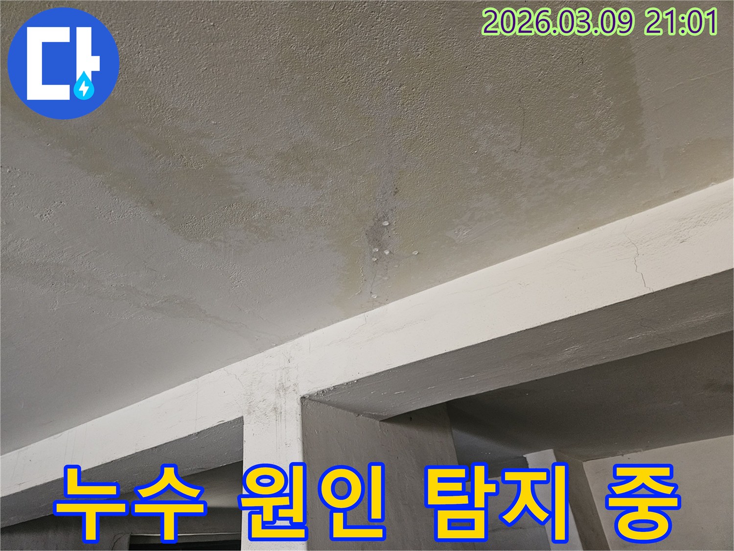 콘크리트 천장에서-물이 새어-얼룩지고-물방울이 맺힌-누수 현장을-엔지니어가-탐지하는-모습입니다.