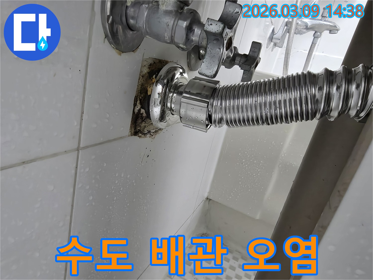 욕실-벽면의-수도-배관-주변이-누수로-인해-오염되고-곰팡이가-번식한-모습입니다
