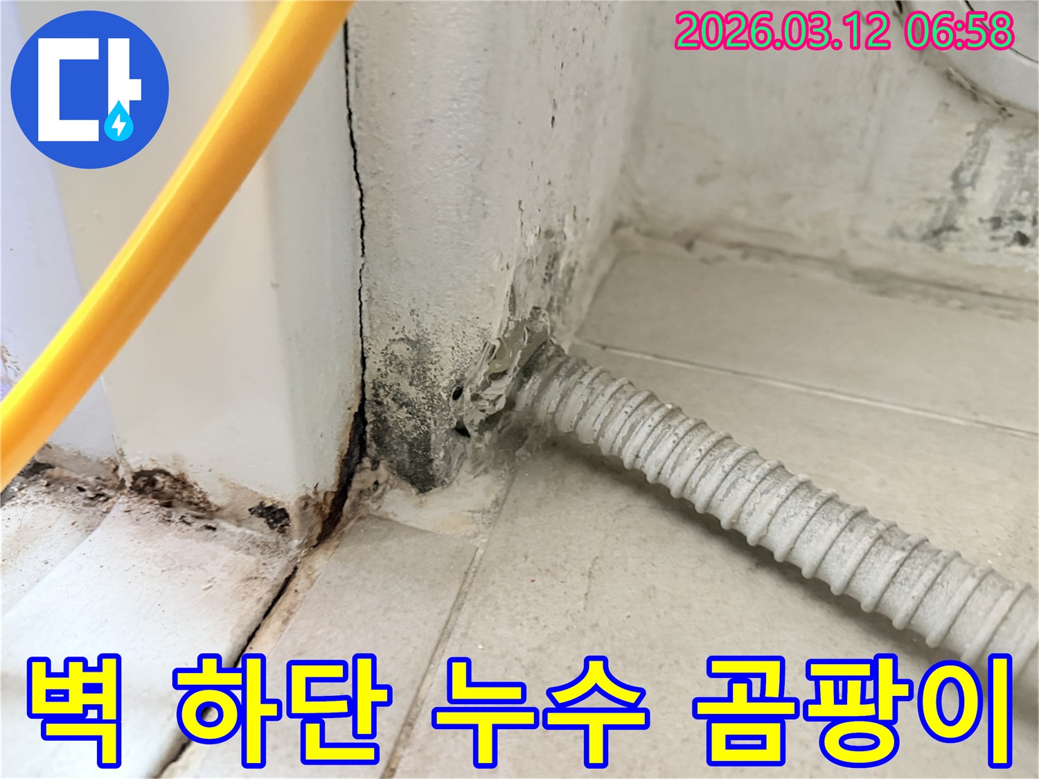 마포구-구수동-주택-벽-하단부의-심각한-누수-흔적과-곰팡이-상태-사진