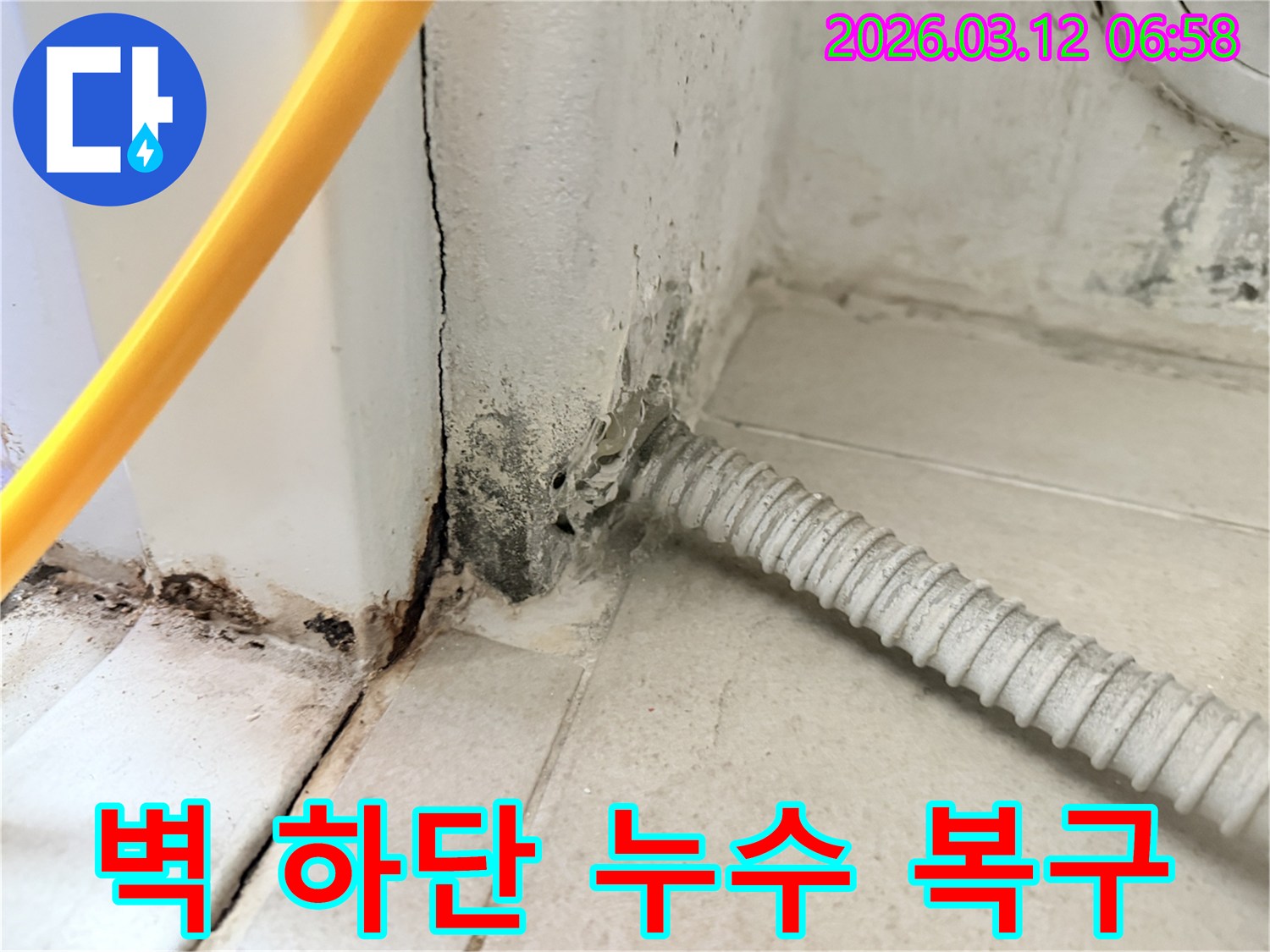 마포구-하중동-다세대-주택-벽-하단부의-심각한-누수-흔적과-곰팡이-상태-사진