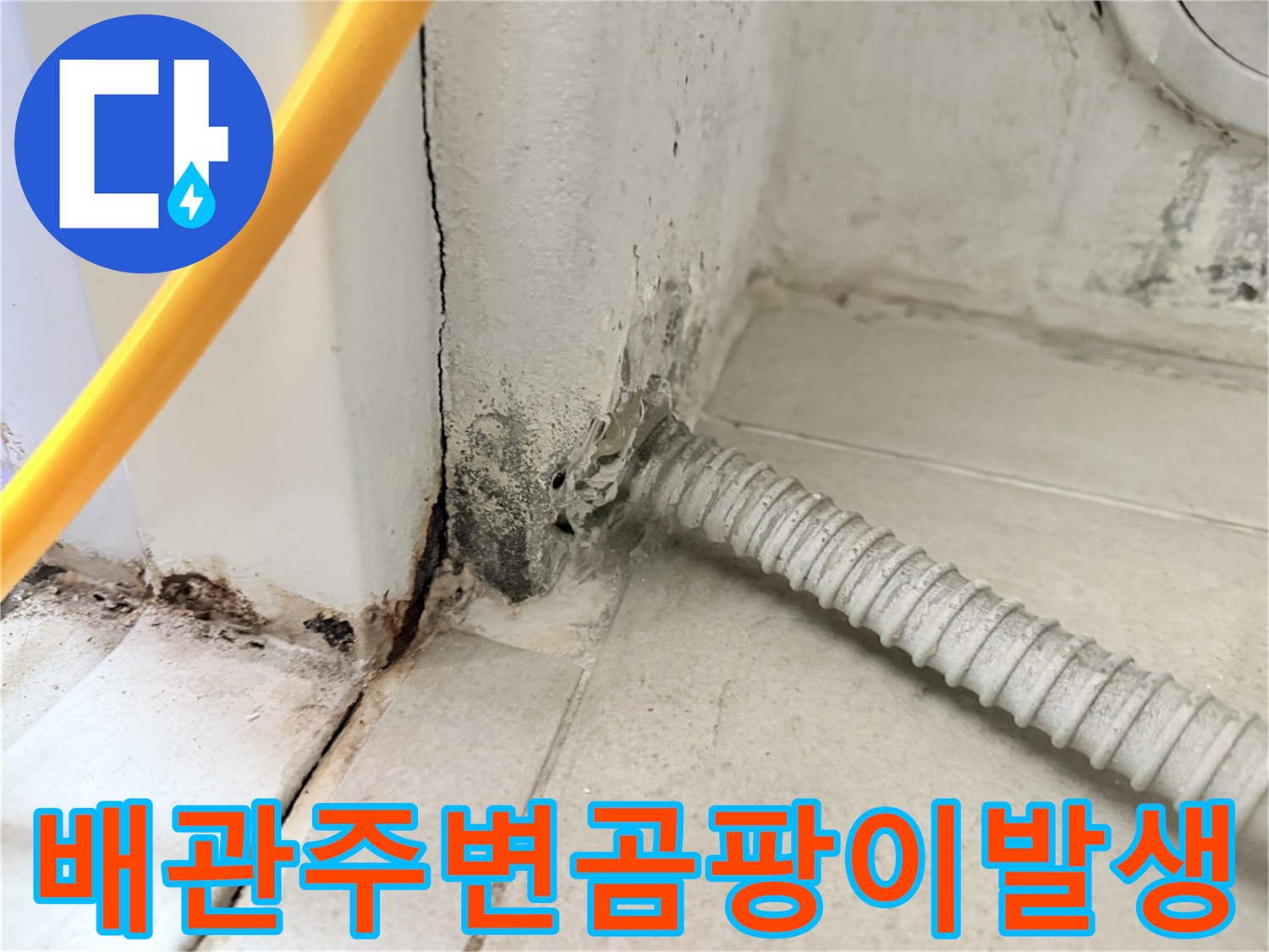 보일러-배관-연결부-벽체-틈새-곰팡이와-습기-흔적