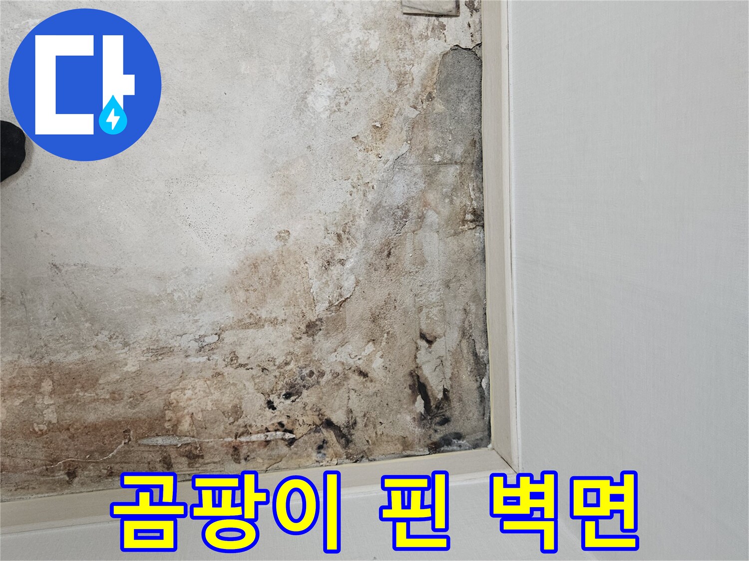 보일러실 내부-습기로 오염된 벽면 마감재