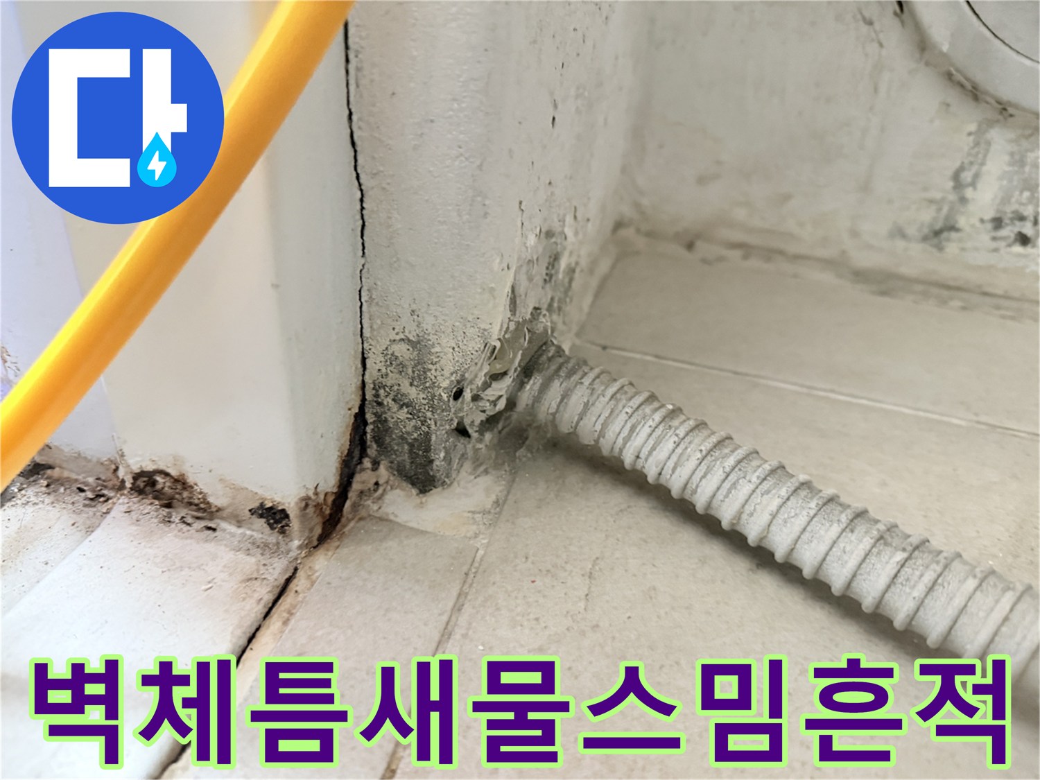 보일러실-벽면-균열-사이로-발생한-누수-및-오염