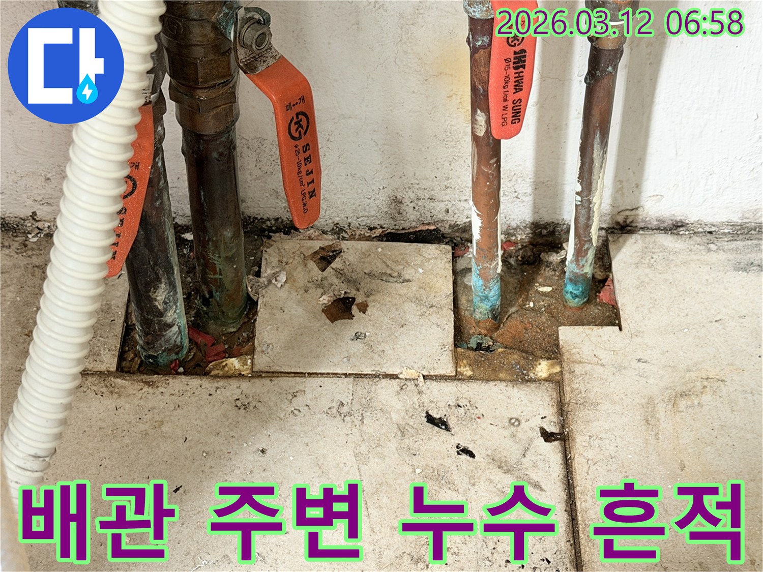 오래된-배관에서-발생한-누수-현장의-타일-손상-모습