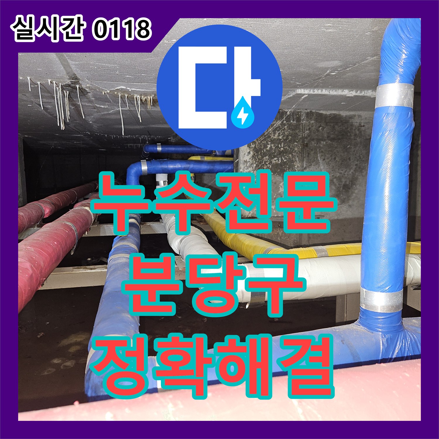 누수전문 천장과 벽면에 발생한 심각한 곰팡이와 얼룩의 원인을 정확하게 찾아내어 해결하는 방법 성남시 분당구