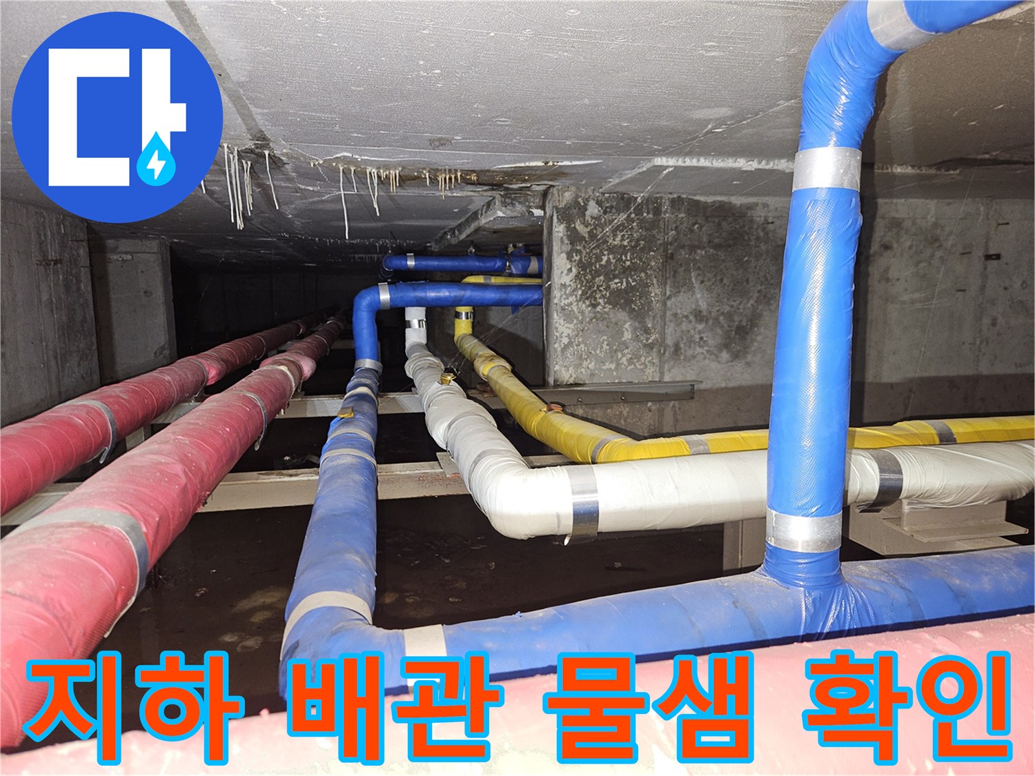 분당구미동-빌라-지하-천장-배관-누수-상태-점검