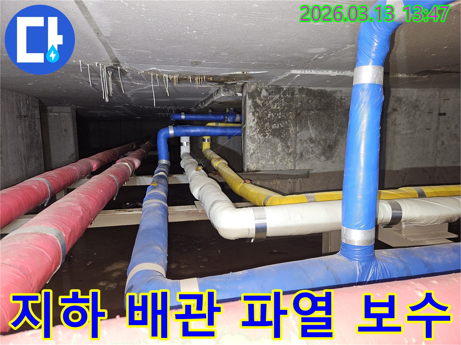 지하-공간의-배관-파열로-인해-천장에서-발생한-누수를-정확히-진단하고-보수하는-전문가의-모습
