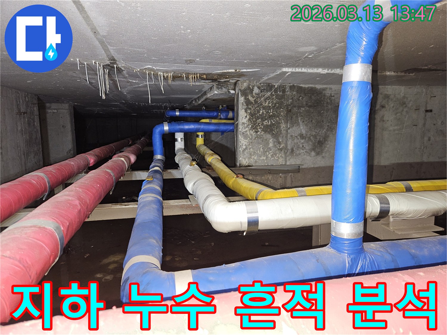 지하-공간의-콘크리트와-복잡한-배관들-사이에서-발견된-누수-흔적을-정밀하게-분석하는-전문가의-모습