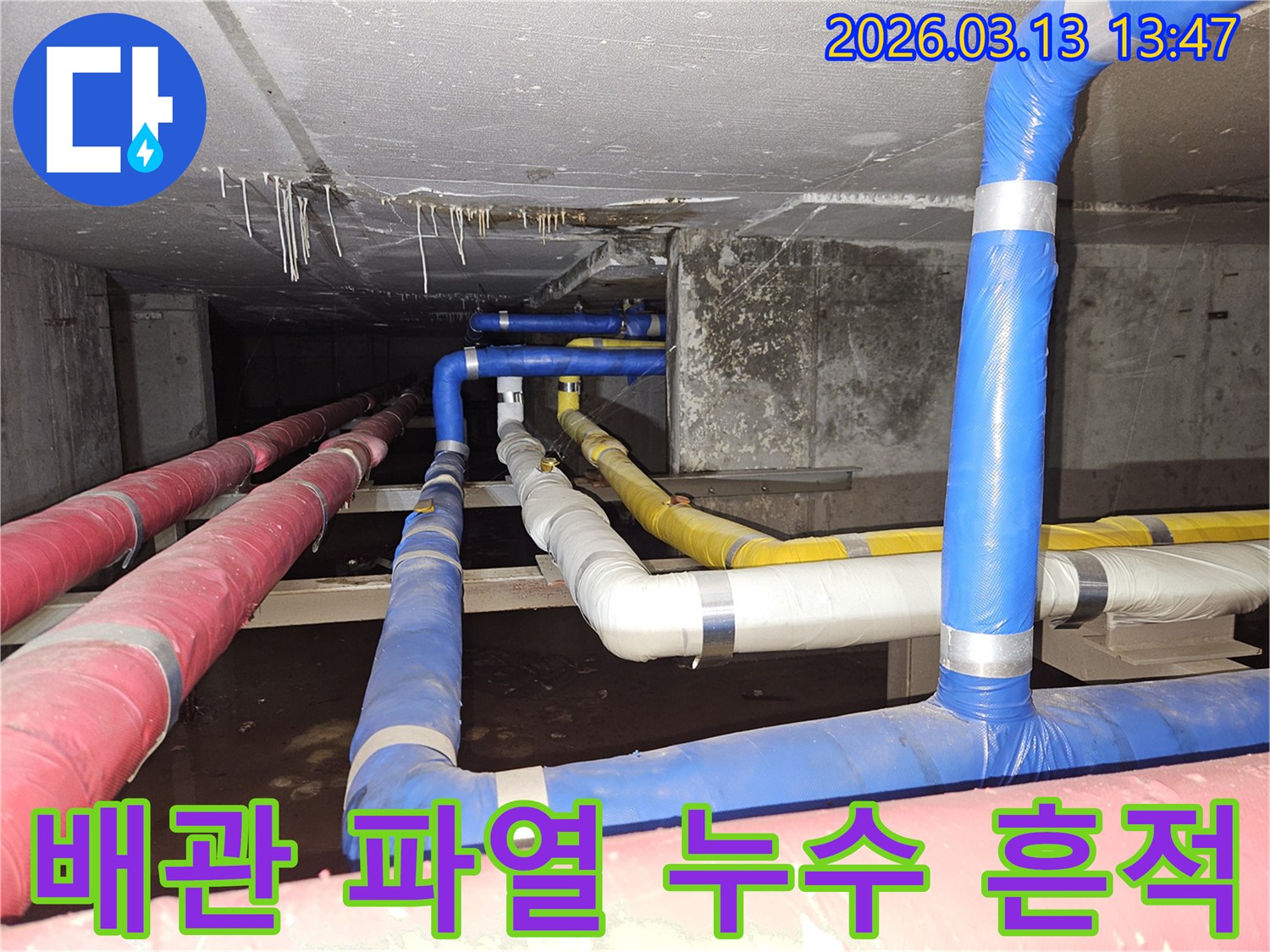 천장-아래-복잡하게-연결된-배관들에서-발견된-누수-흔적을-정밀하게-조사하는-모습