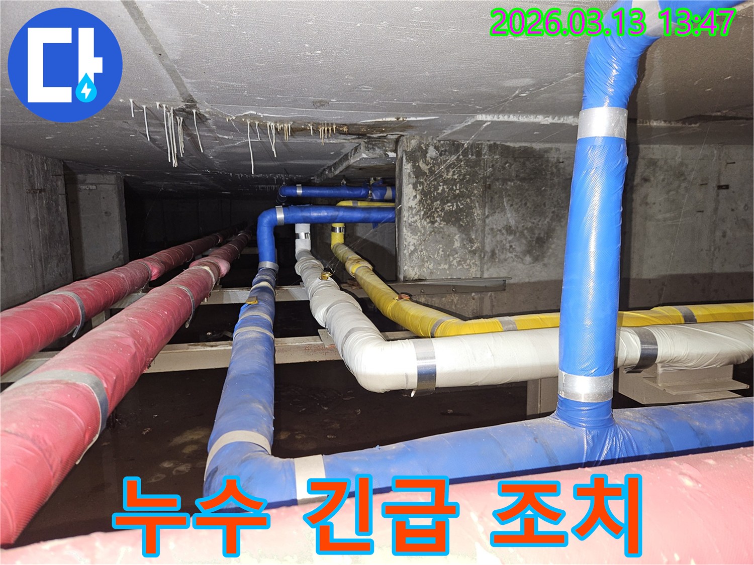 천장-아래-복잡하게-연결된-배관들에서-발생한-누수-문제를-정확히-진단하고-긴급하게-조치하는-전문가의-모습